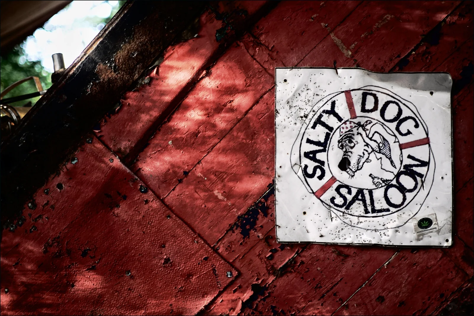 Salty Dog - HyperLapse - Electric Picnic 2015