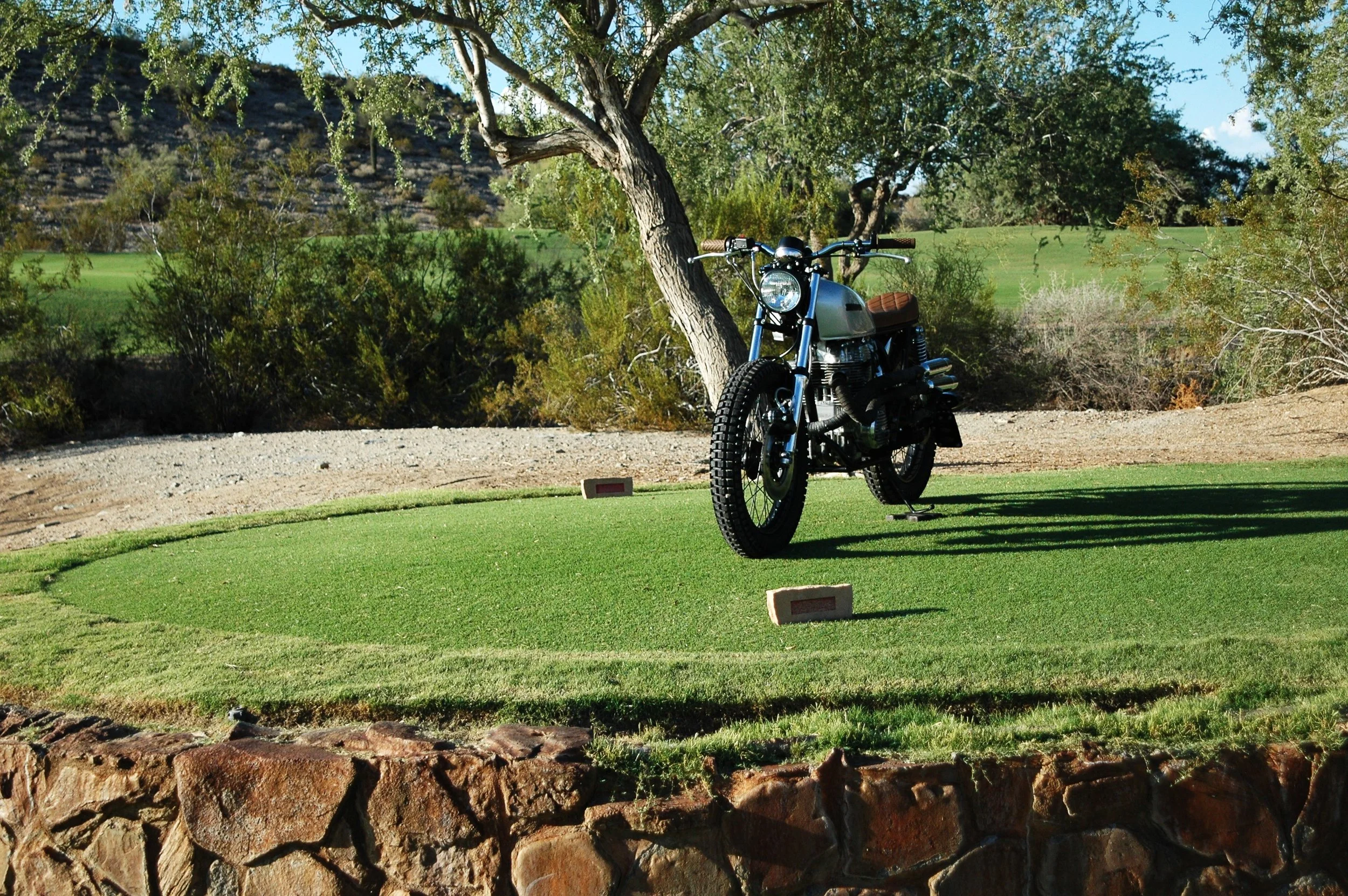 DSC_9536.JPG
