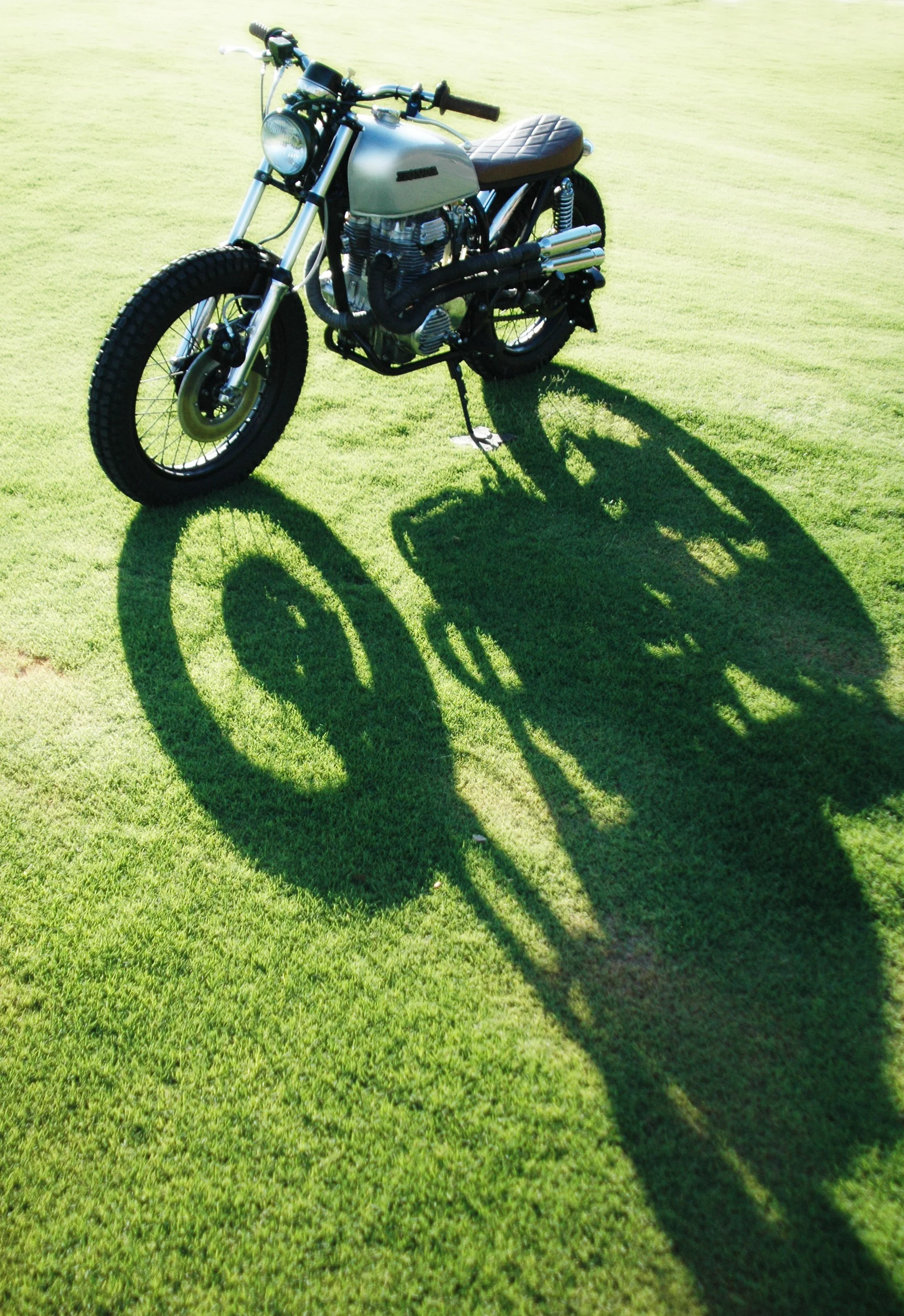 DSC_9531.JPG