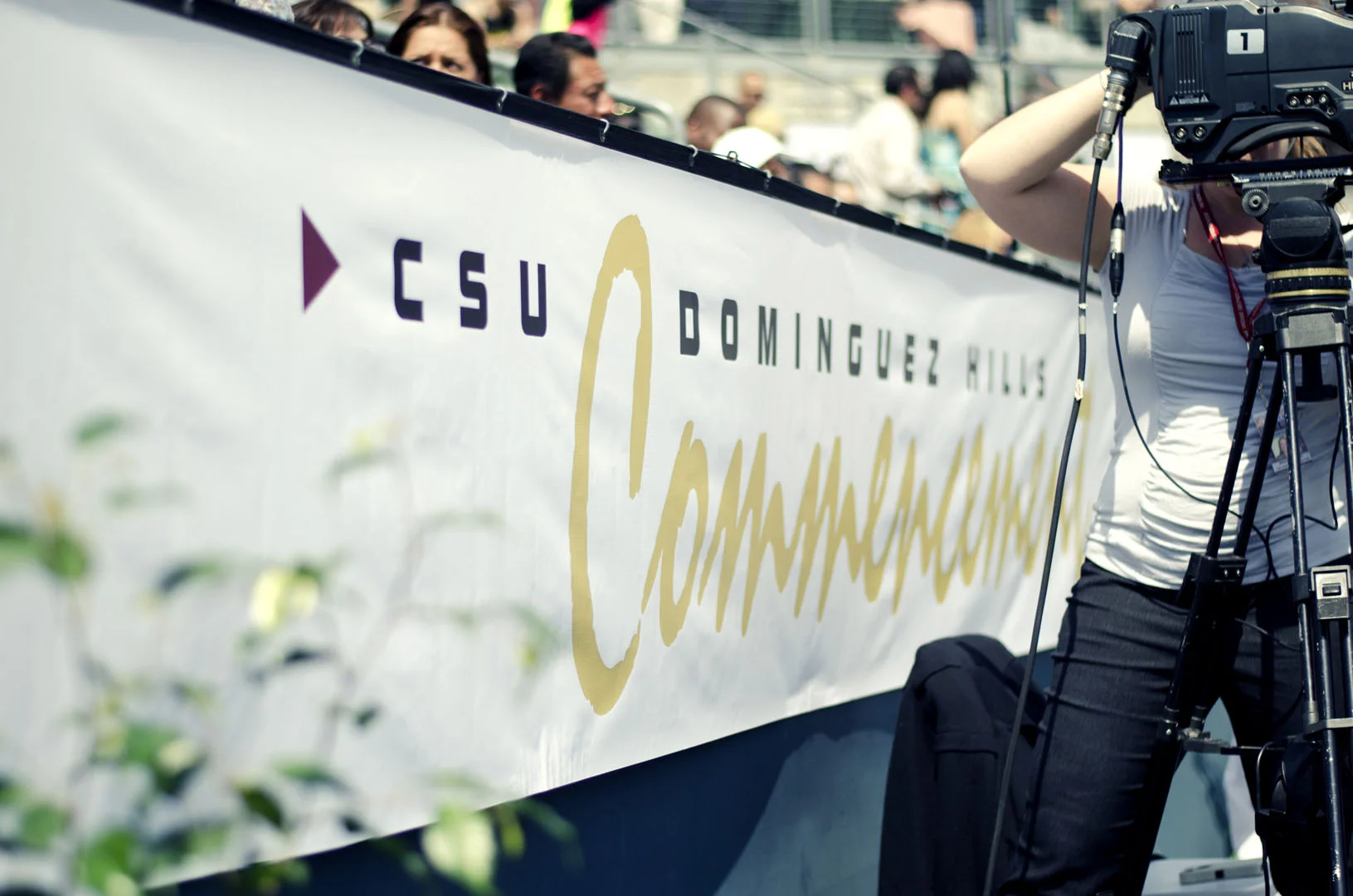 Vinyl Banner