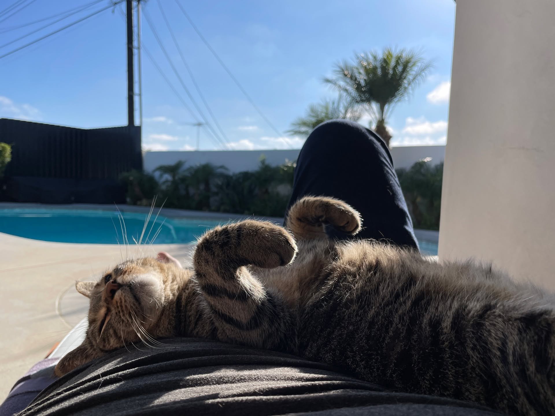My weekend with Finn....