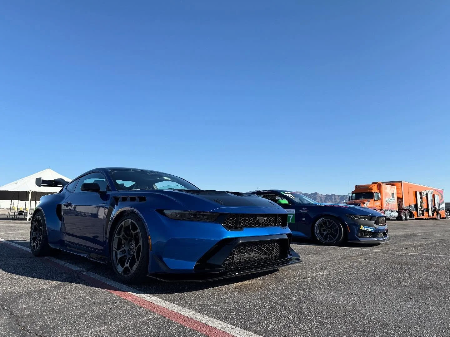An entire family of feral Fords, just for me! 8 hours of track time, four cars: Dark Horse, Dark Horse R, GTD, GT3. Story in the next issue of @roadandtrack and thanks @jimfarley98 for letting me borrow your race car!