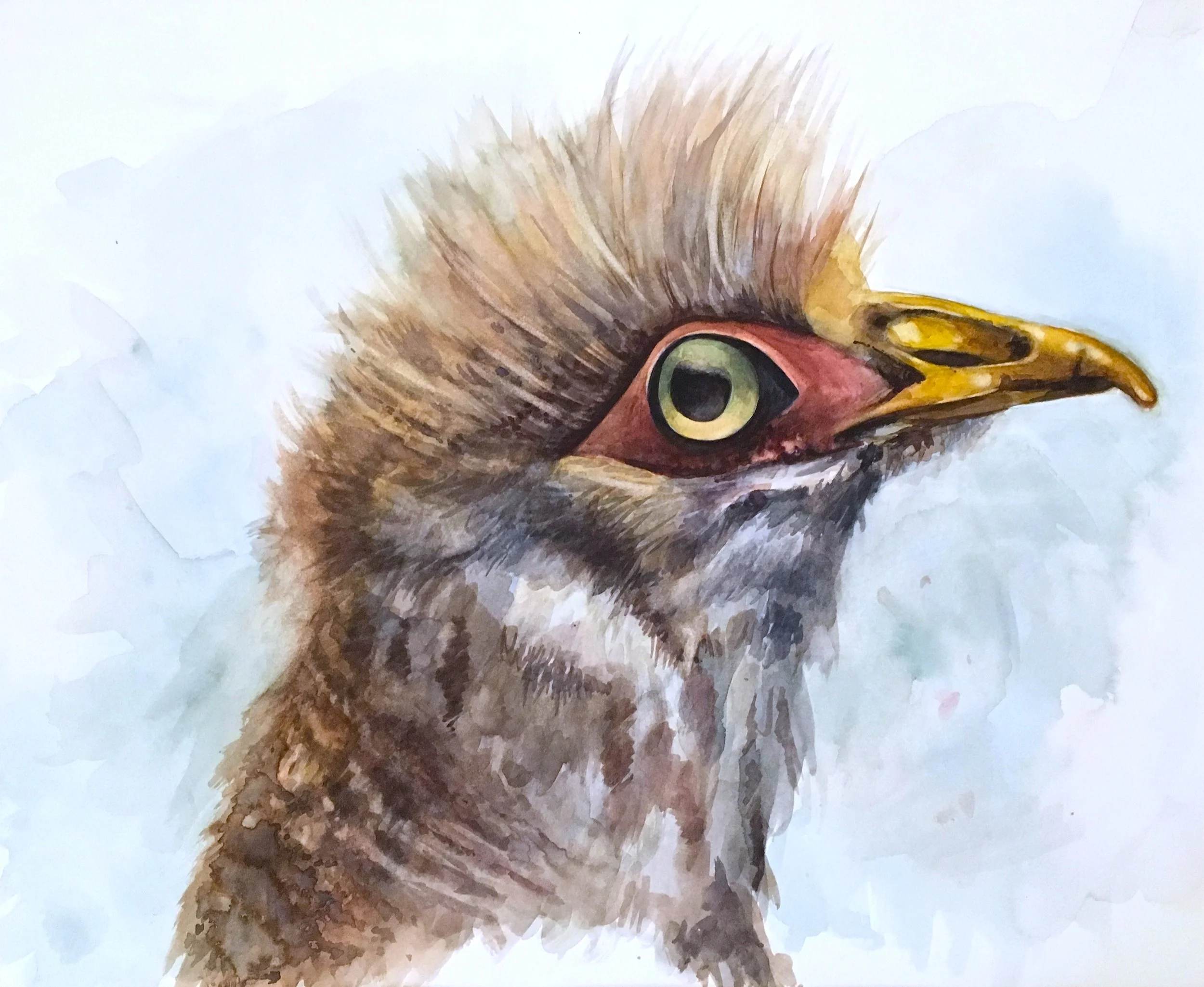 6. BIRD.JPG