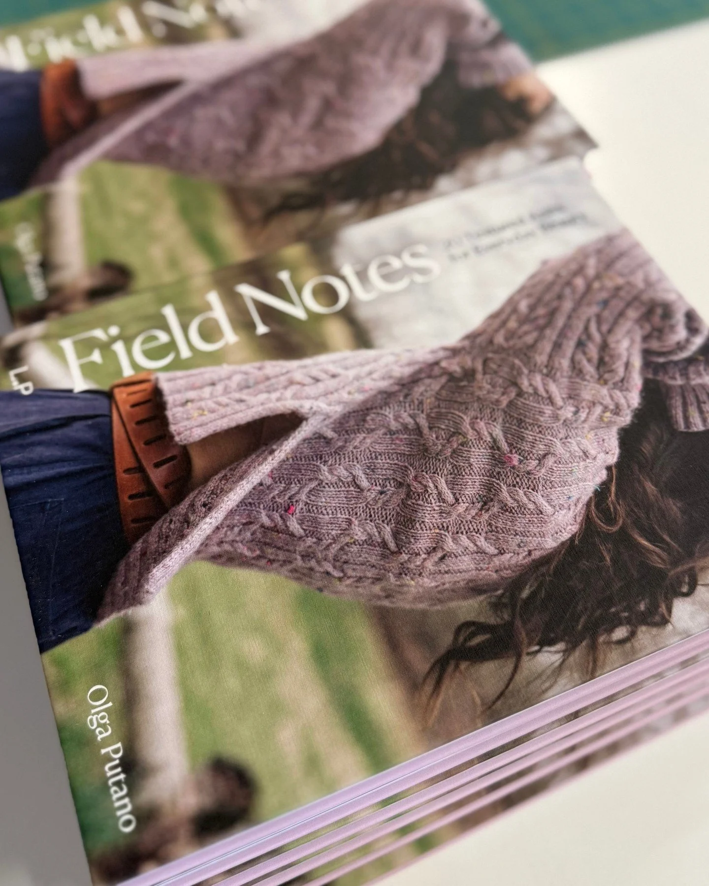 Field Notes: 20 Textured Knits for Everyday Beauty is an inspirational collection exploring various techniques and stitch patterns. Fall in love with Olga Putano&rsquo;s cozy designs: richly cabled sweaters, creativity-sparking colorwork and comforti