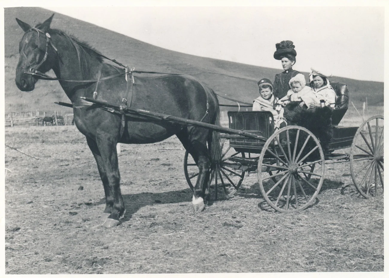 (Image: Bruce's great-grandmother in her buggy with her three children: Lavinia Jr., Norah and Sandy. This image is on the cover of Coming Hone From Home .)