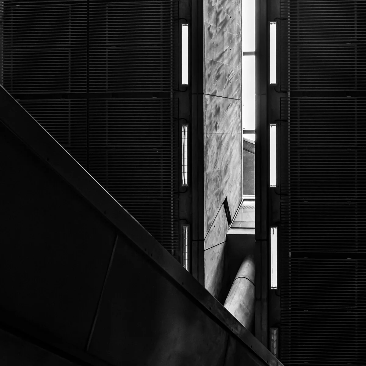 DSC_0102-Edit.jpg