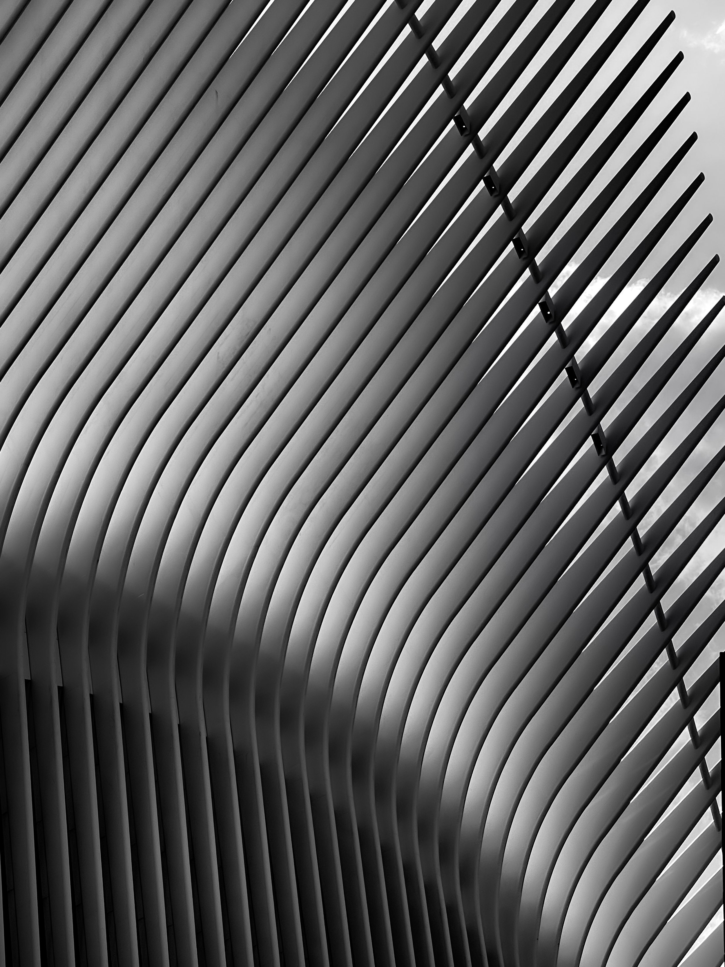 Flying (1 of 1).jpg