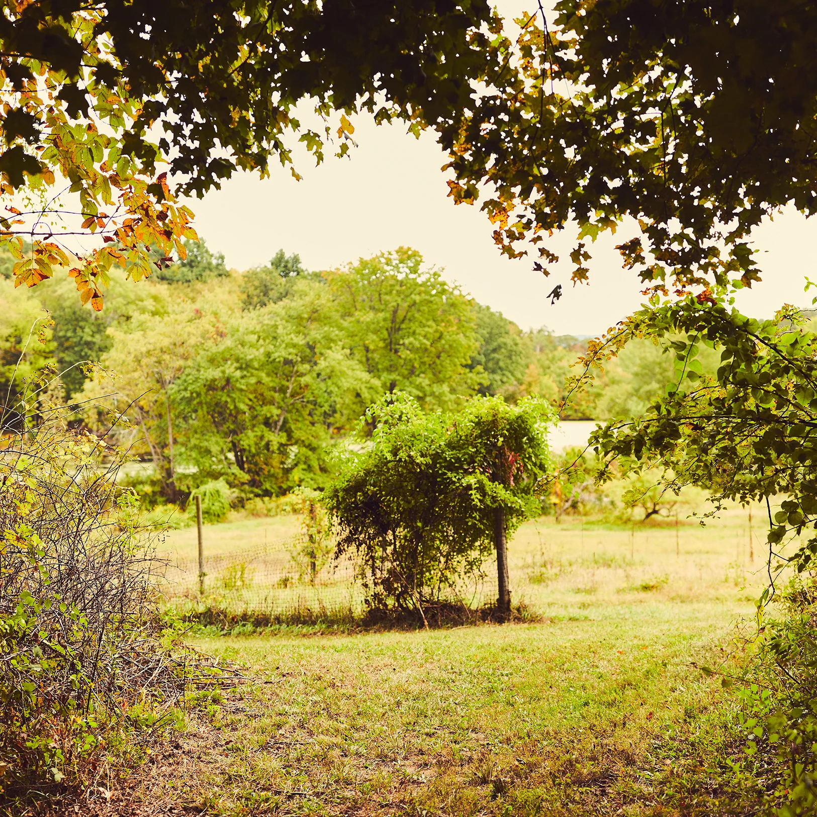 09_20161004S1_BOUTIQUE_HOTEL_HASBROUCK_HOUSE_OUTDOOR_007.jpg