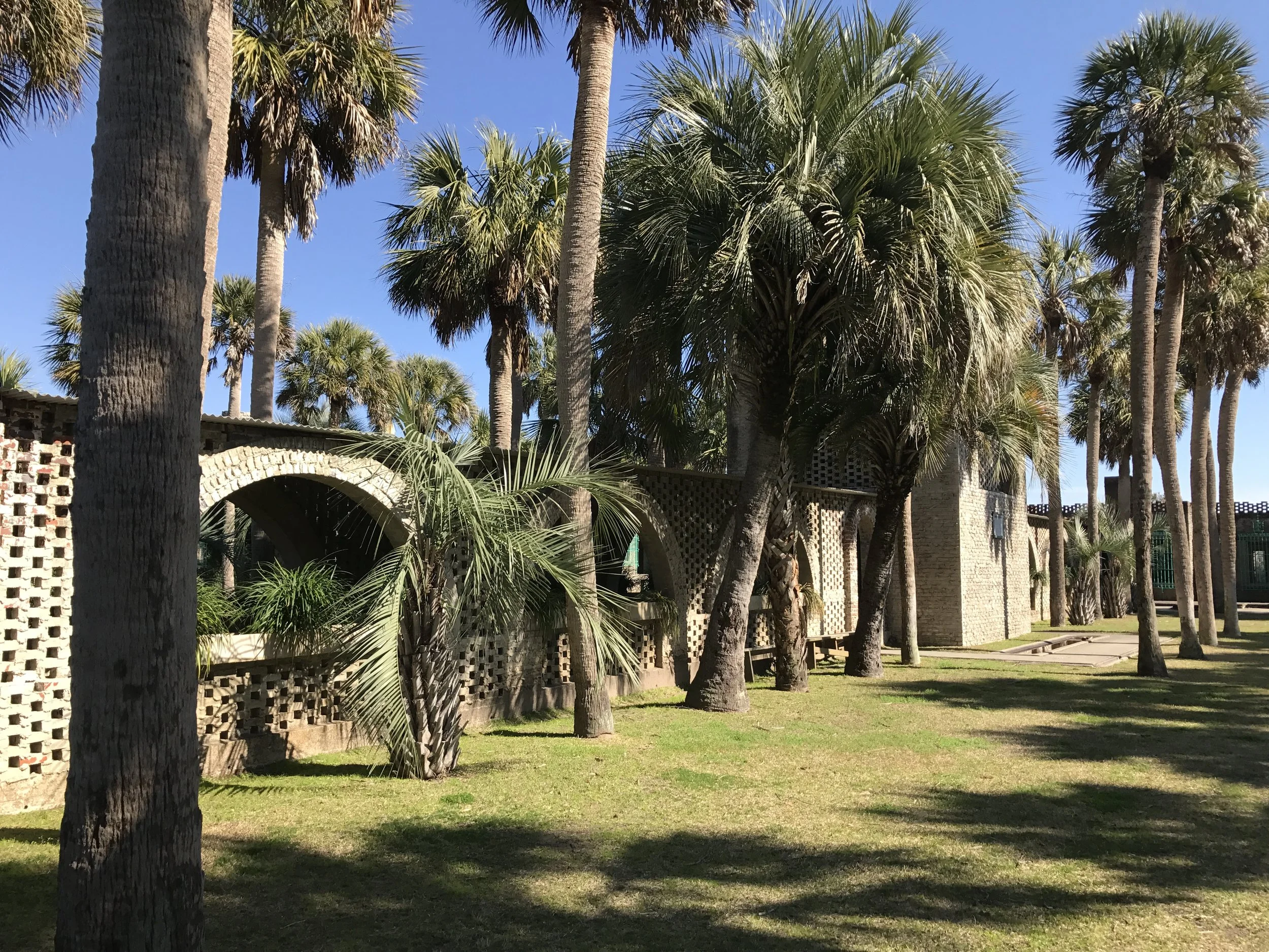 The large courtyard where Anna and Archer played with their dogs.