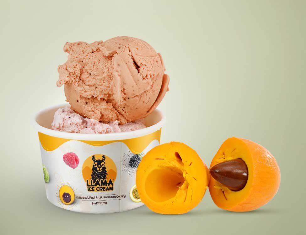 Artisanal, Exotic, Unique Ice Cream. — Llama Ice Cream