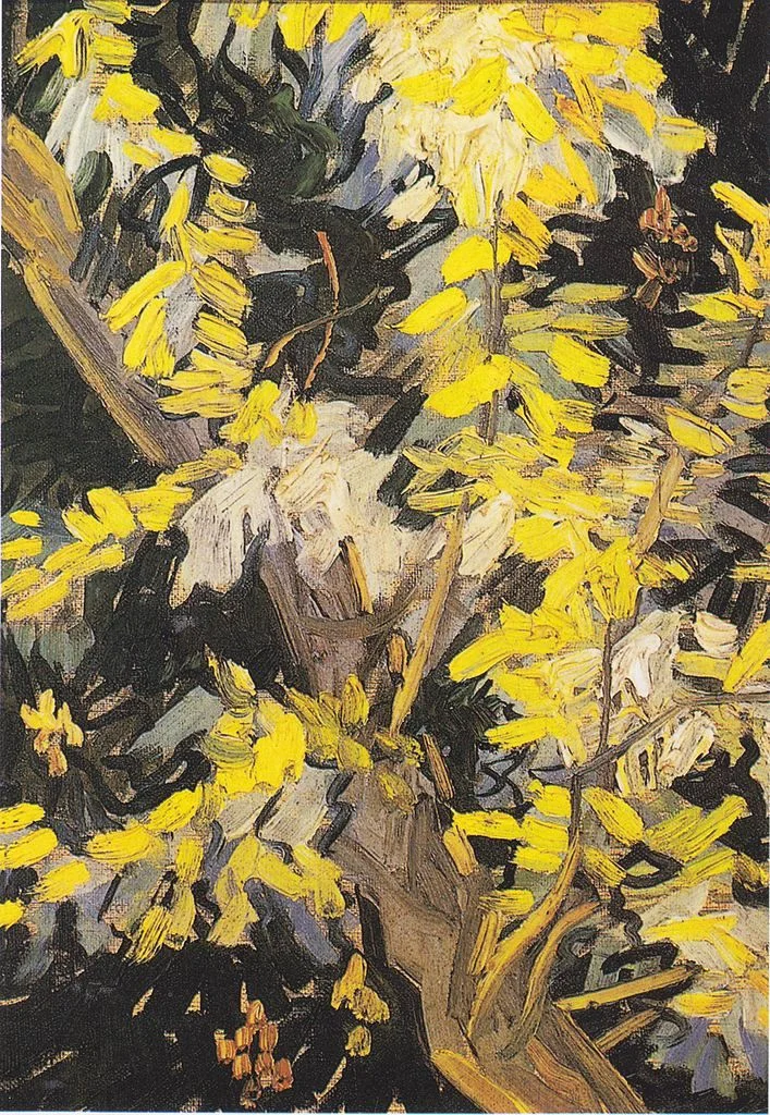 Blossoming Acacia Branches.jpeg