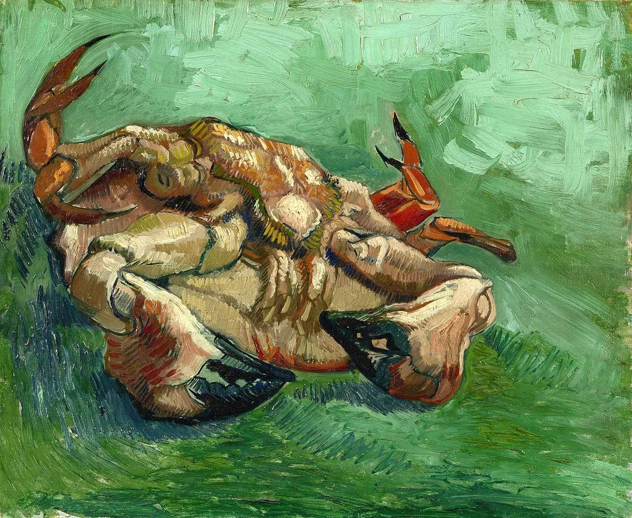 Crab on Its Back.jpeg