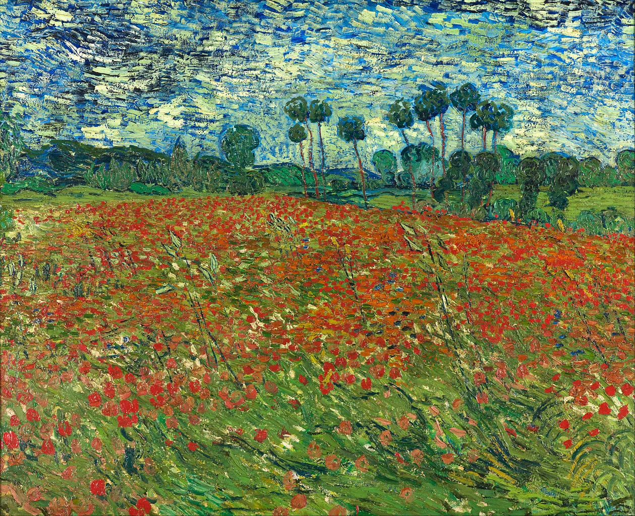 Poppy Field.jpeg