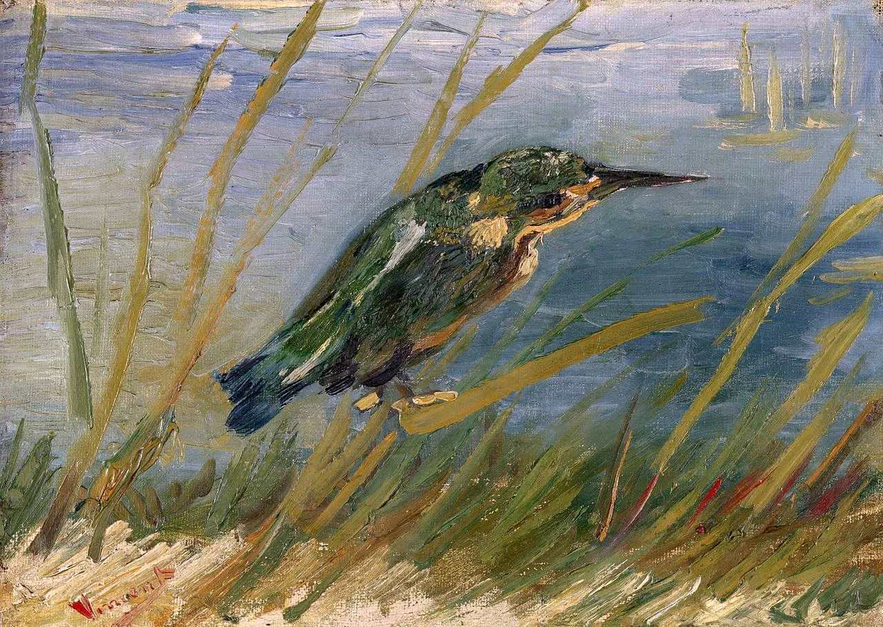 The Kingfisher.jpeg