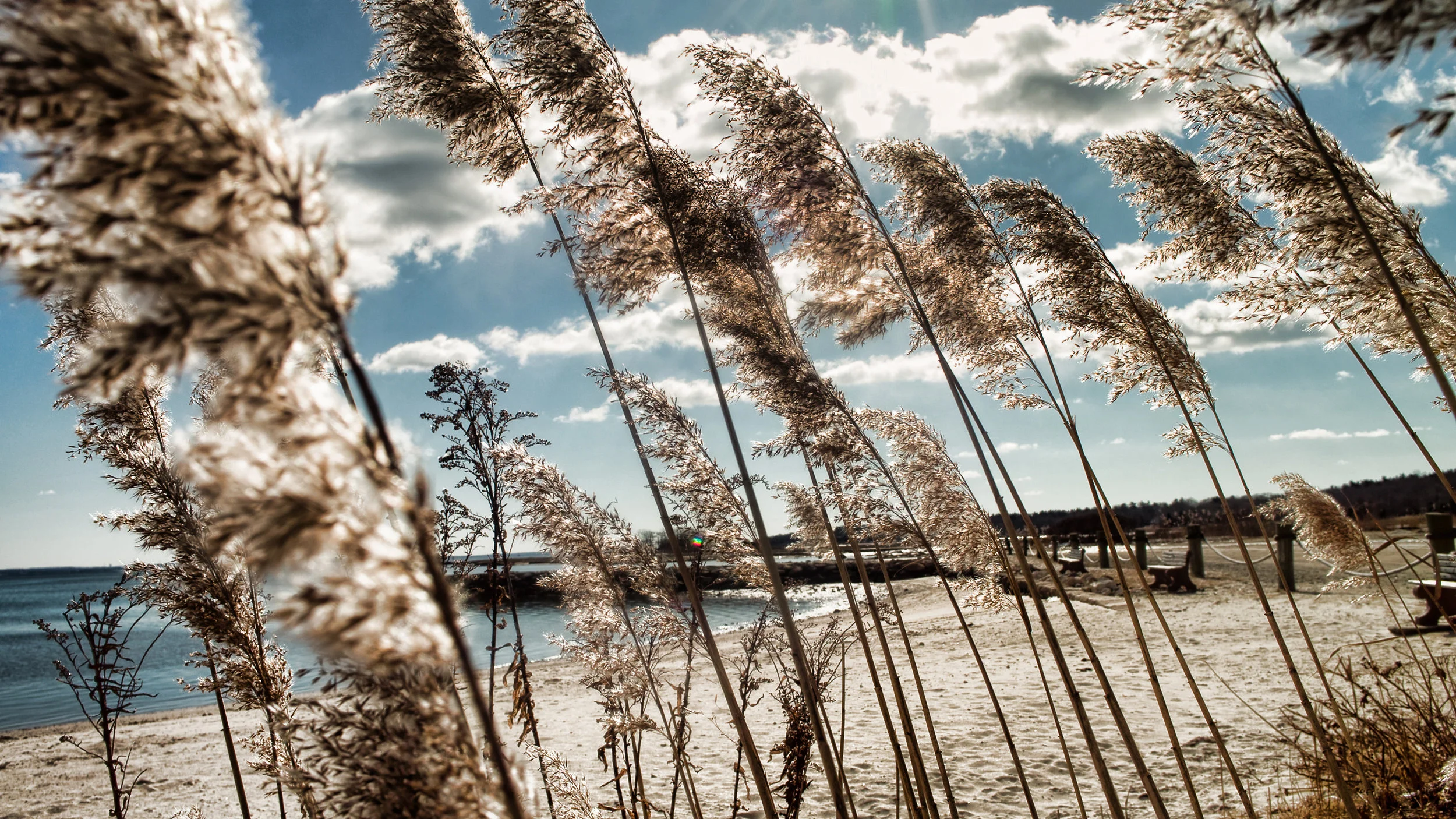 SDIM0510-470654090-O.jpg