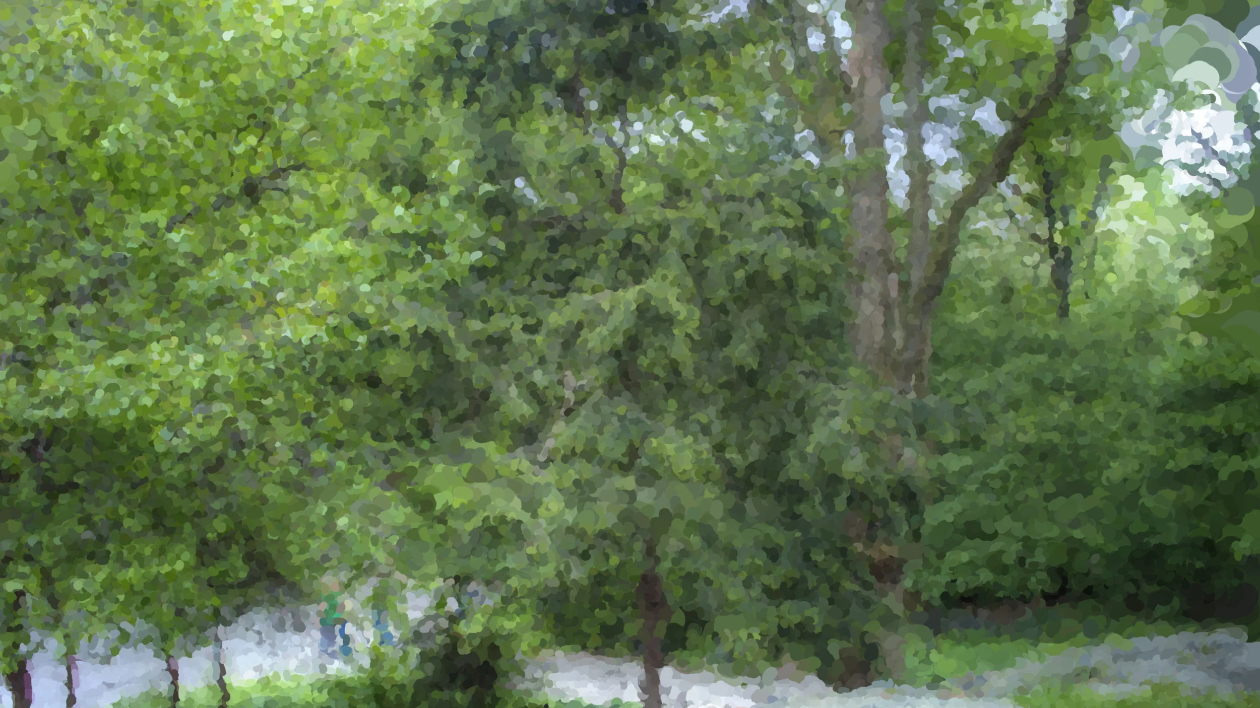 Forestry HDR Meural.jpg