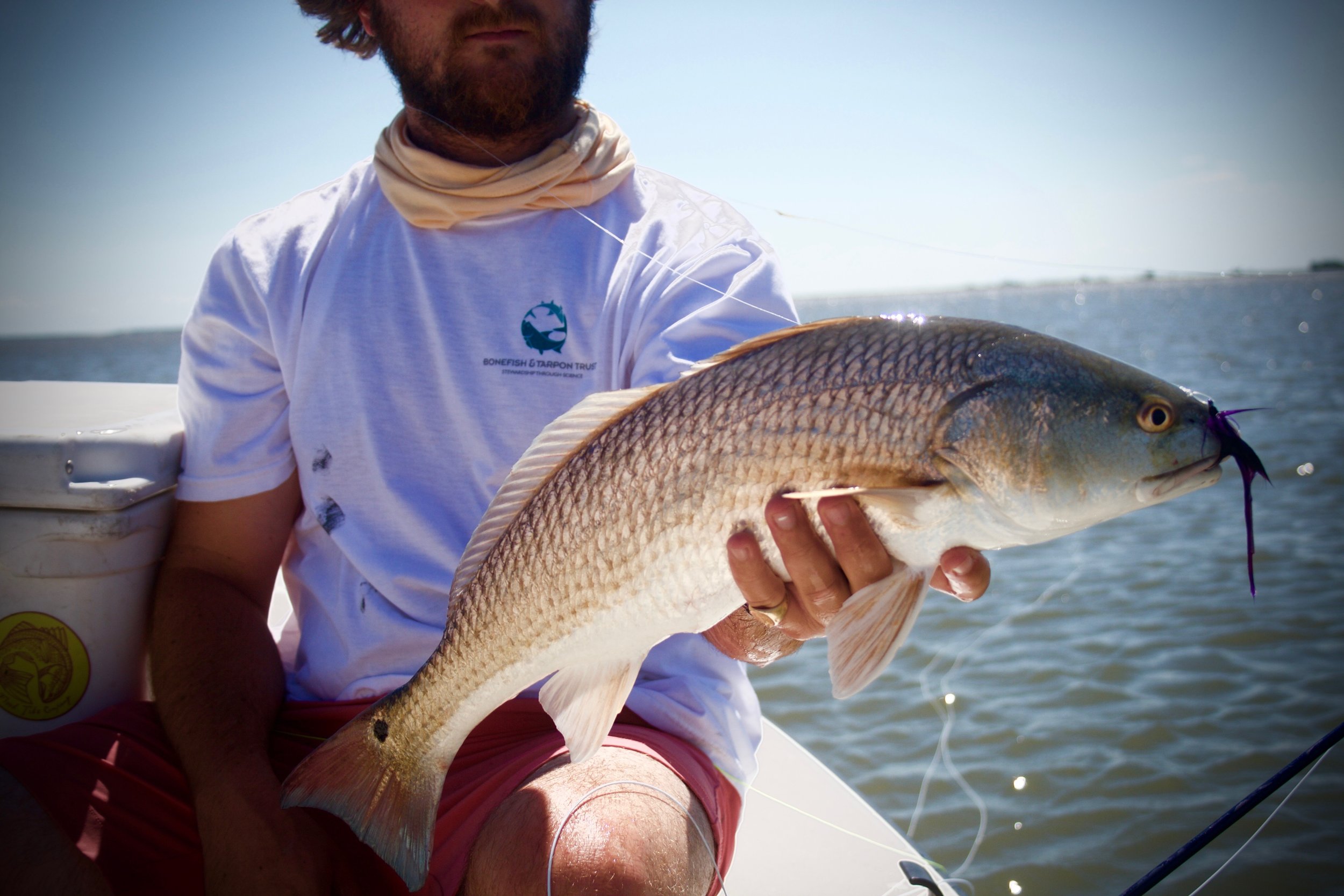 Lowcountry Premier Fly Fishing - Charleston SC Guided Fly Fishing - Inshore Fishing South Carolina