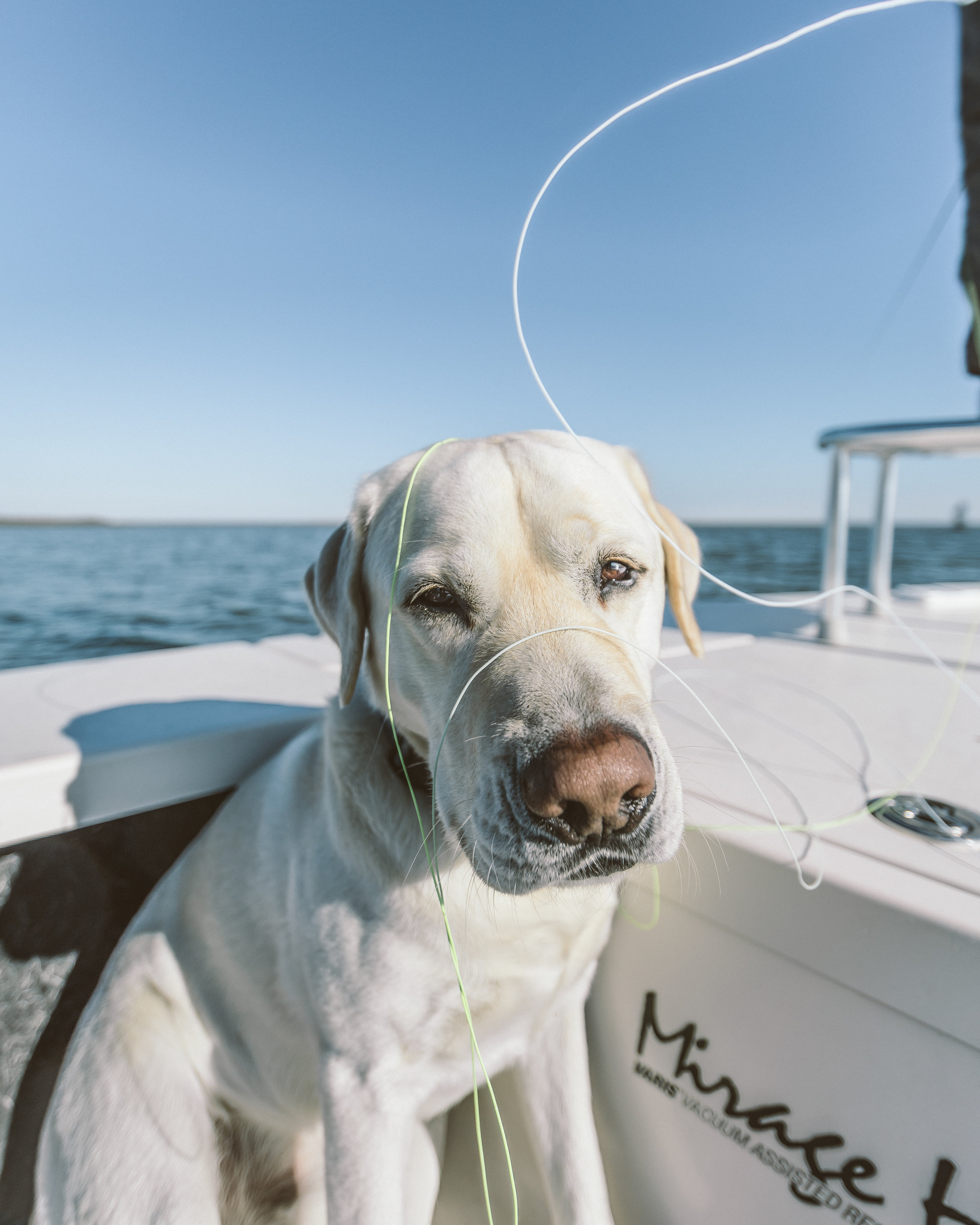fishing2.5.18-6.jpg