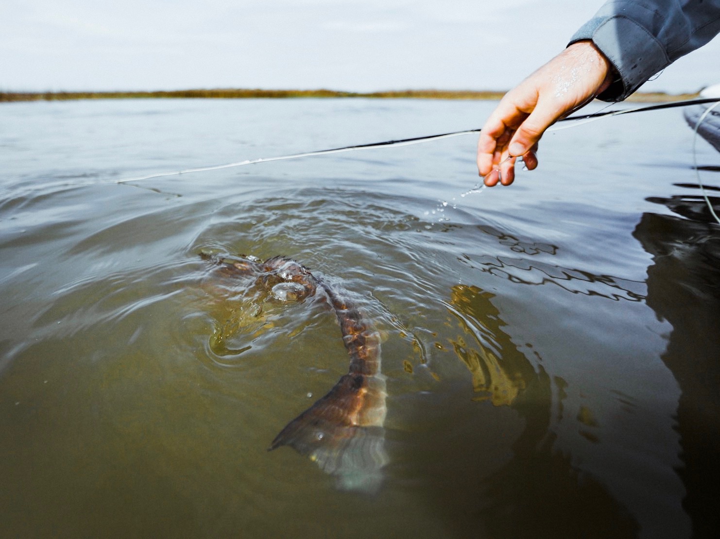 Lowcountry Premier Fly Fishing - Charleston SC Guided Fly Fishing - Inshore Fishing South Carolina