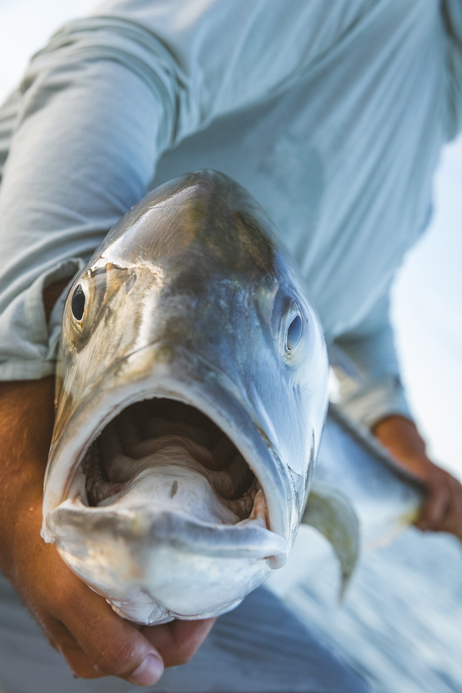 Lowcountry Premier Fly Fishing - Charleston SC Guided Fly Fishing - Inshore Fishing South Carolina