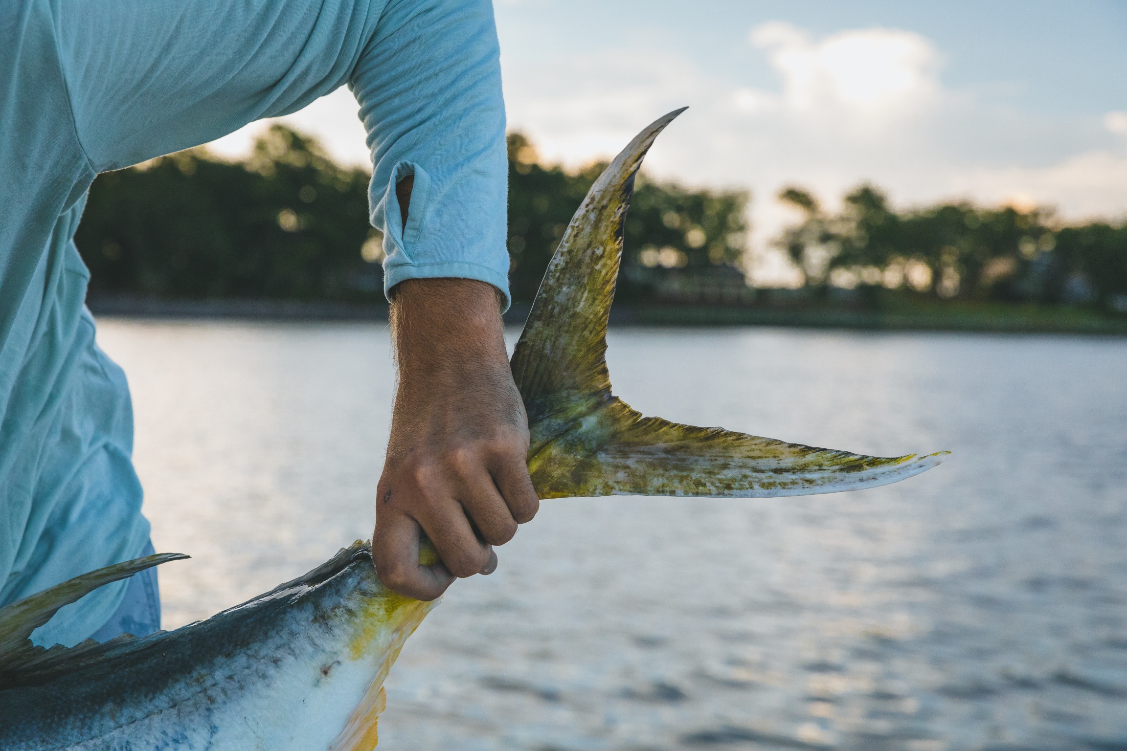 Lowcountry Premier Fly Fishing - Charleston SC Guided Fly Fishing - Inshore Fishing South Carolina