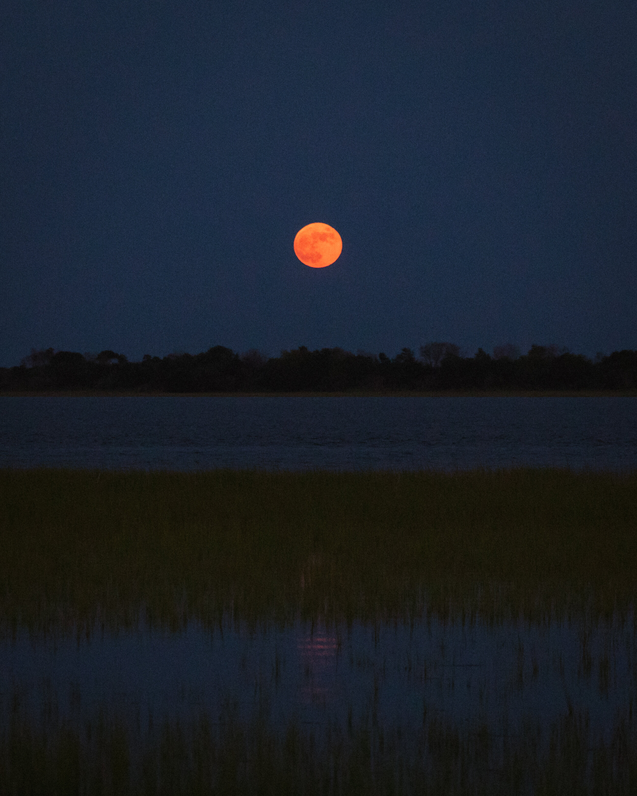 Lowcountry Premier Fly Fishing - Charleston SC Guided Fly Fishing - Inshore Fishing South Carolina