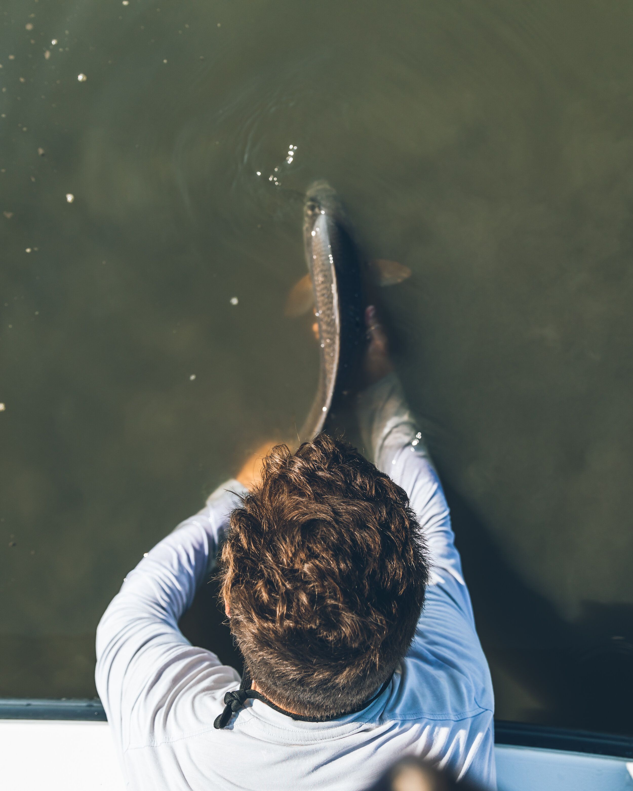 Lowcountry Premier Fly Fishing - Charleston SC Guided Fly Fishing - Inshore Fishing South Carolina