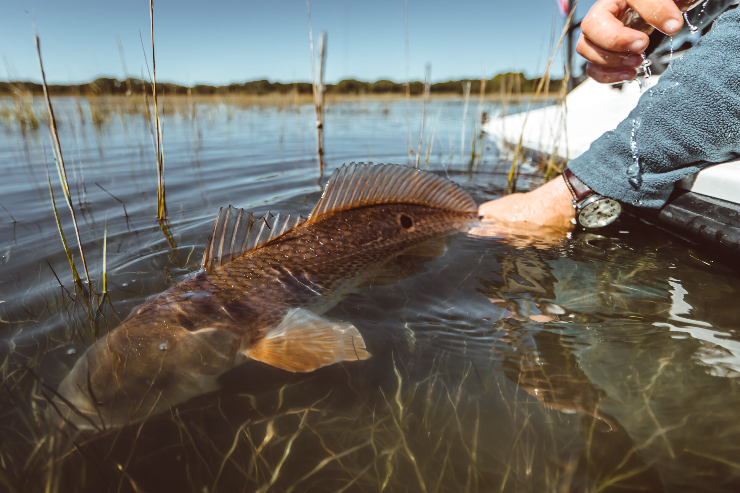 Lowcountry Premier Fly Fishing - Charleston SC Guided Fly Fishing - Inshore Fishing South Carolina