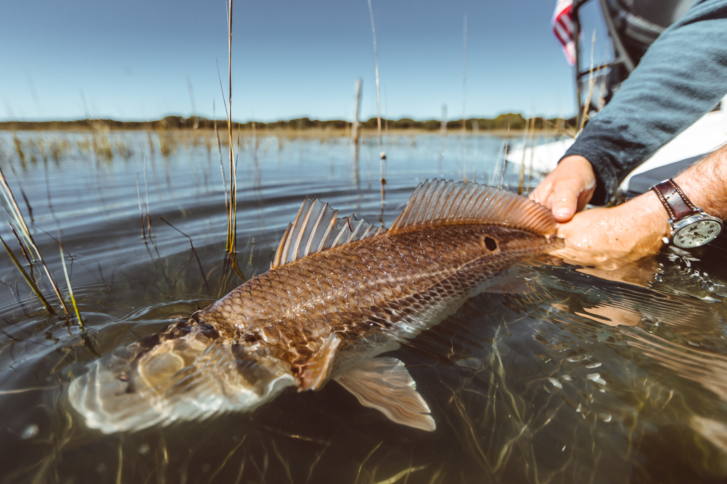 Lowcountry Premier Fly Fishing - Sight Fishing in Charleston SC — Lowcountry  Premier Fly Fishing