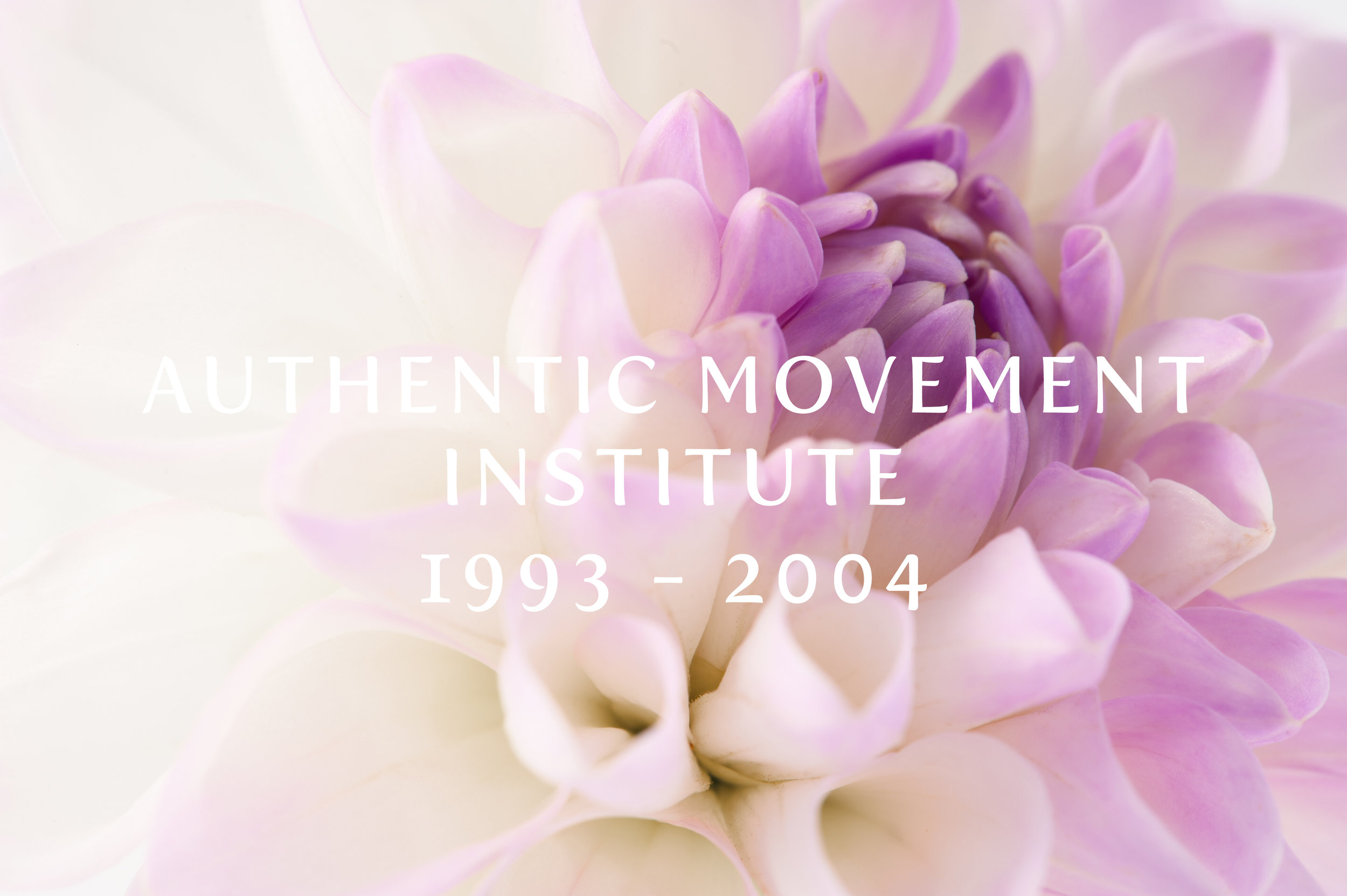 Authentik Movement Training