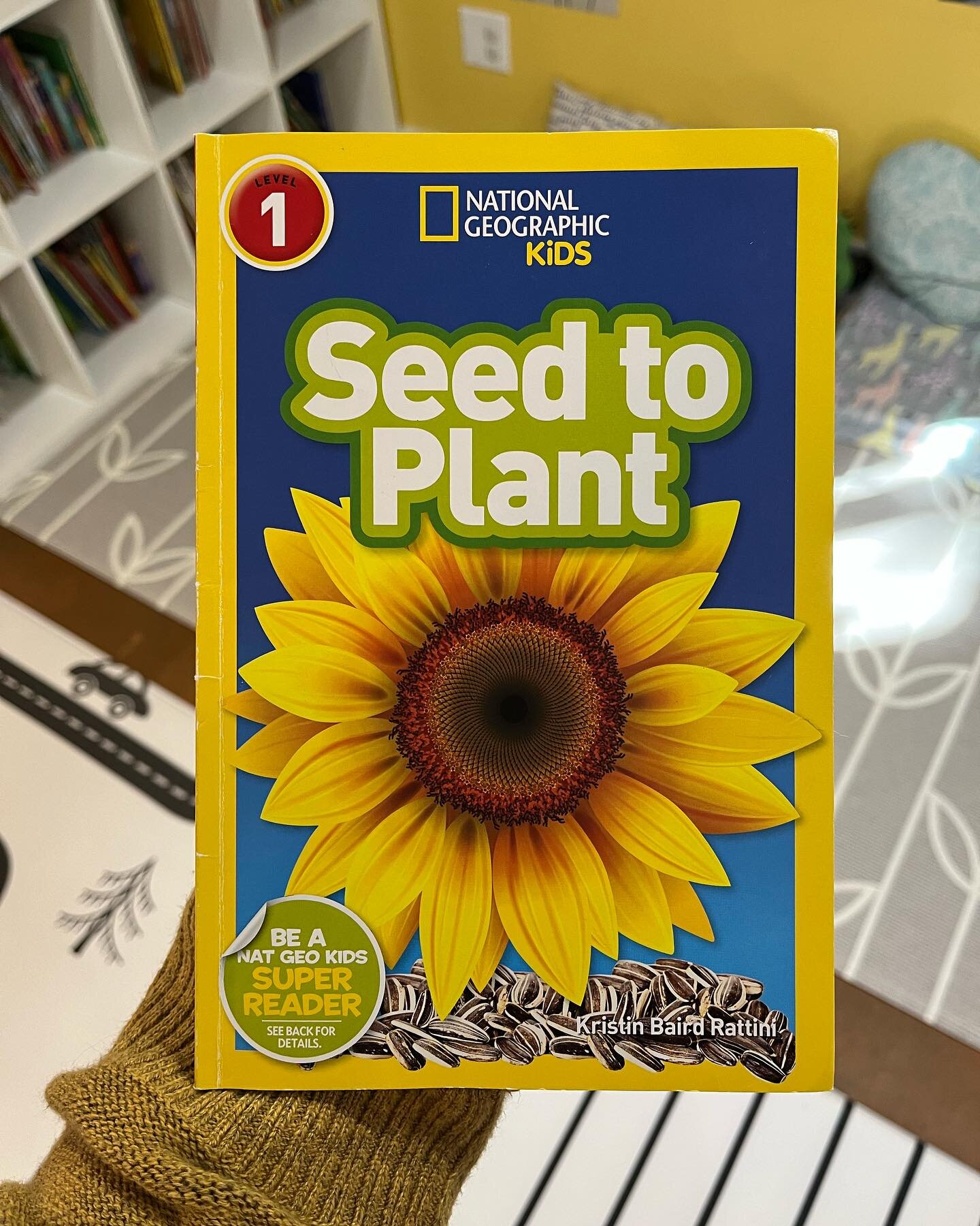 BOOK SPOTLIGHT: Here are more books we&rsquo;ve been reading! 

1. &ldquo;Seed to Plant&rdquo; by Kristin Baird Rattini 

2. &ldquo;The Tiny Seed&rdquo; by Eric Carle 

3. &ldquo;Backyard Bugs&rdquo; by Jill McDonald 

#tigerlilypreschool #preschoolb