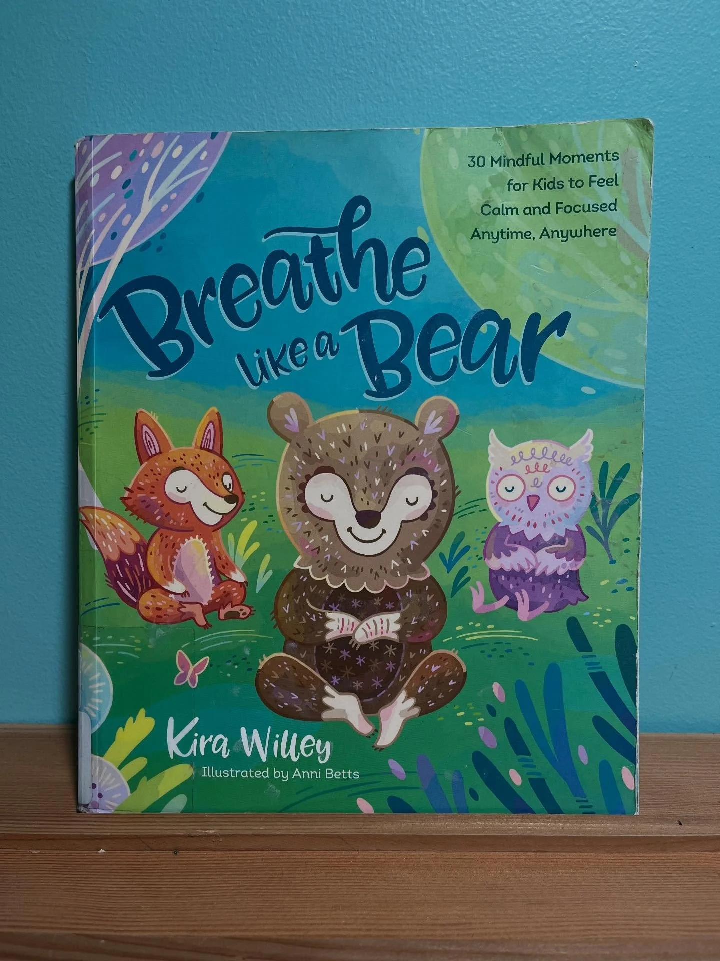🐻 BOOK SPOT LIGHT 🐻

&ldquo;Breathe like a Bear&rdquo; by Kira Willey, illustrated by Anni Bettes

&ldquo;30 Mindful Moments for Kids to Feel Calm and Focused Anytime, Anywhere.&rdquo;

Follow along with animal friends as they teach techniques for 