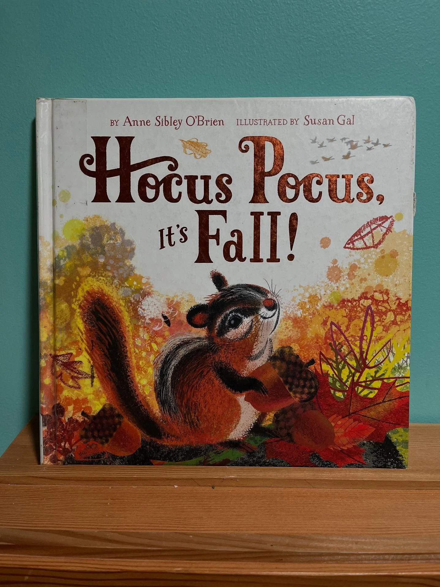 🍂 BOOK SPOT LIGHT 🍂 
“Hocus Pocus, It’s Fall” by Anne Sibley O’Brien, illustrated by Susan Gal
“When summer gives away to fall and the days grow crisp and cool there’s something special in the air! Say the magi