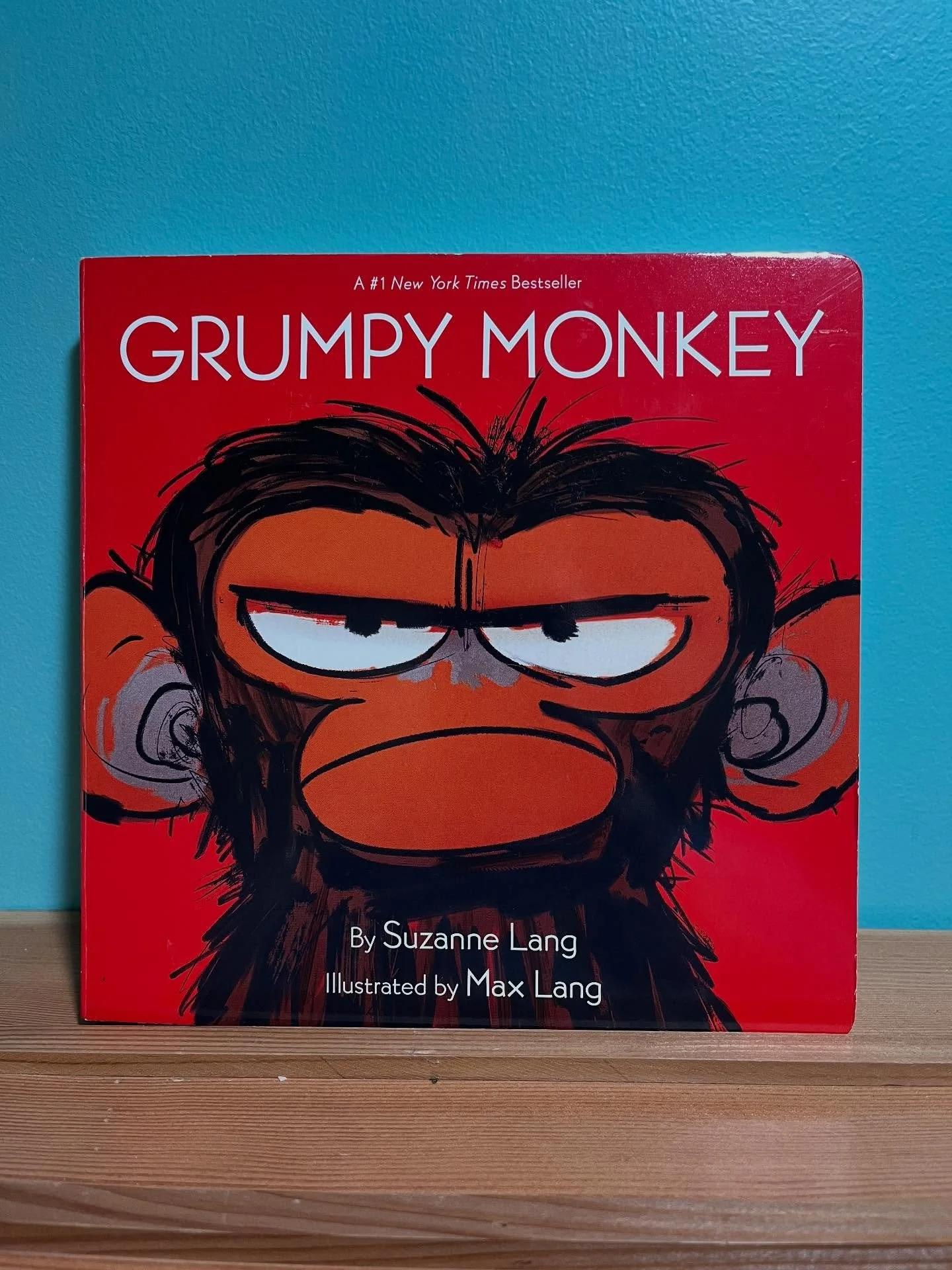 🙈 BOOK SPOT LIGHT 🙊
“Grumpy Monkey” by Suzanne Lang, illustrated by Mac Lang.
“One wonderful day Jim Panzed woke to discover that nothing was right….” 
His friends kept telling him he looked grumpy and he kept tryi