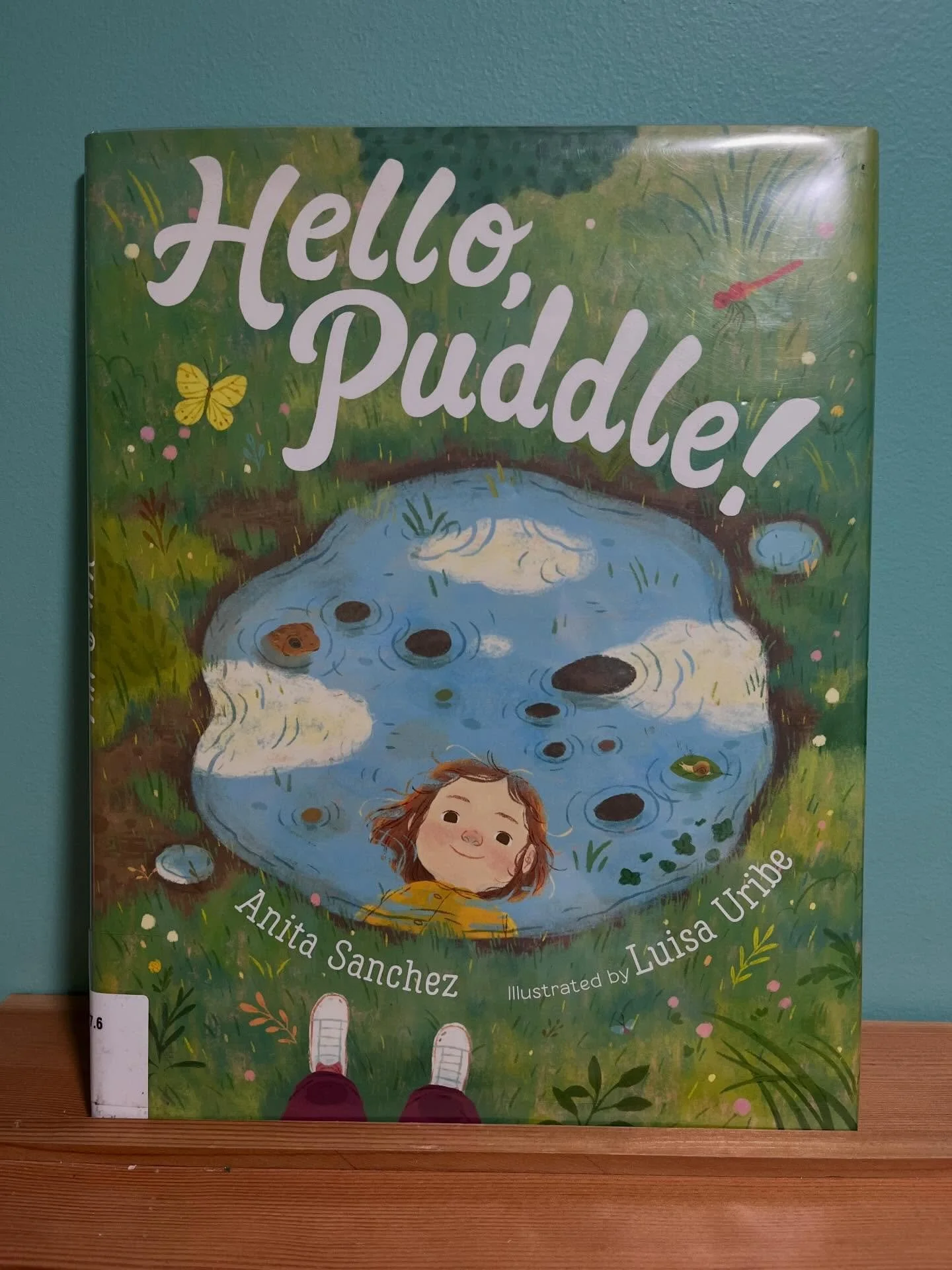 🦆BOOK SPOTLIGHT 🐢

&ldquo;Hello, Puddle!&rdquo; By Anita Sanchez, illustrated by Luisa Uribe 

🌱&ldquo;Ducklings and seedlings, mother turtles and baby squirrels - even kids come to the puddle. Some need a drink, others want a bath and one of them