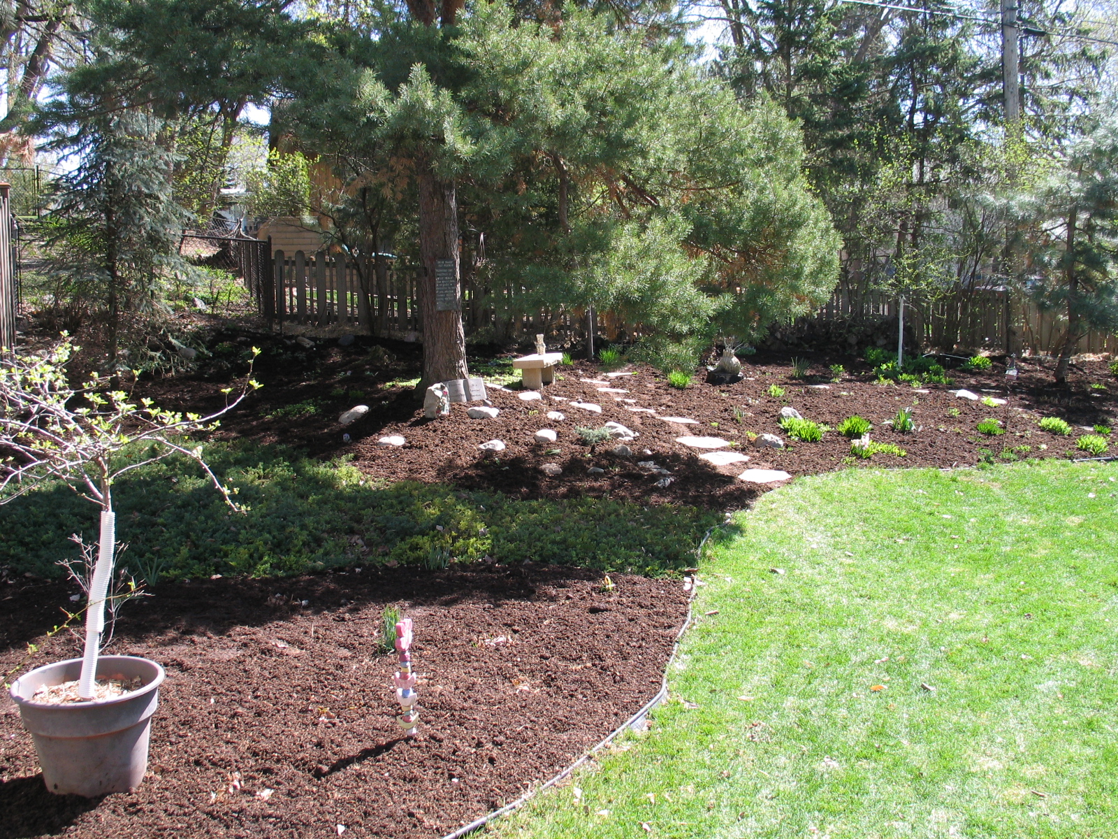 Merle Rosenberg's 4-06 completed.JPG
