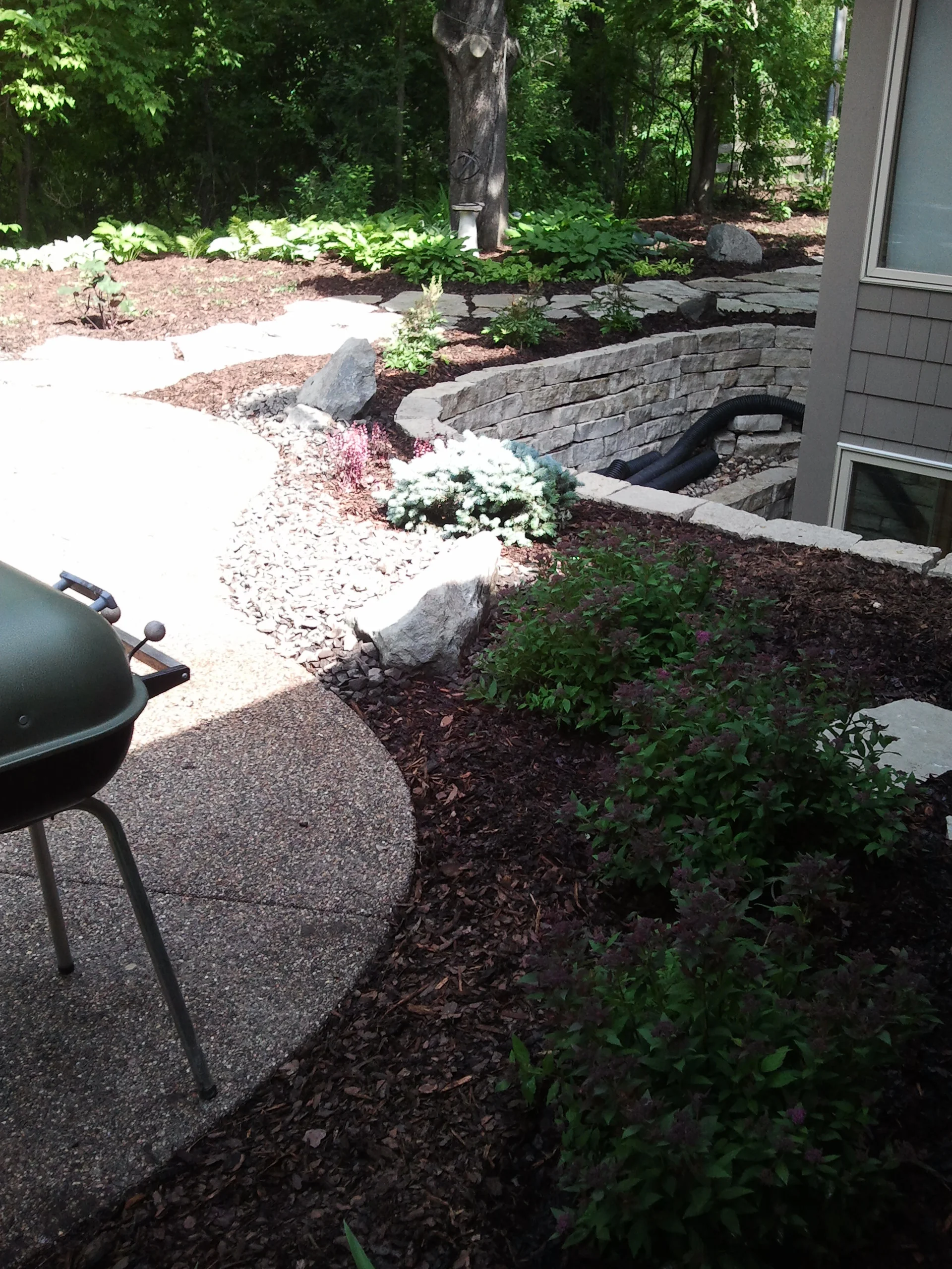 2011-06-17 10.36.49.jpg