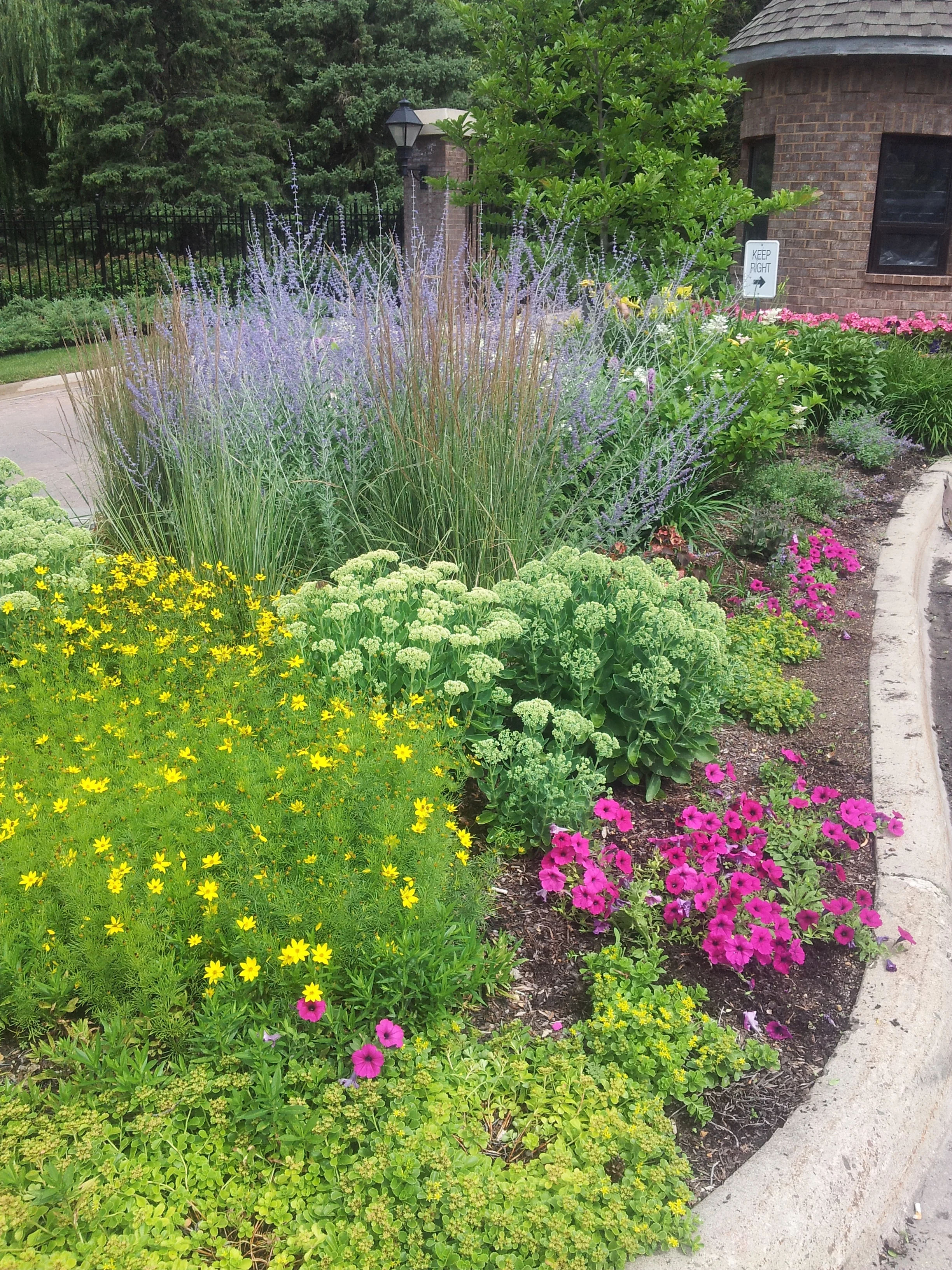 2013-07-25 11.37.56.jpg