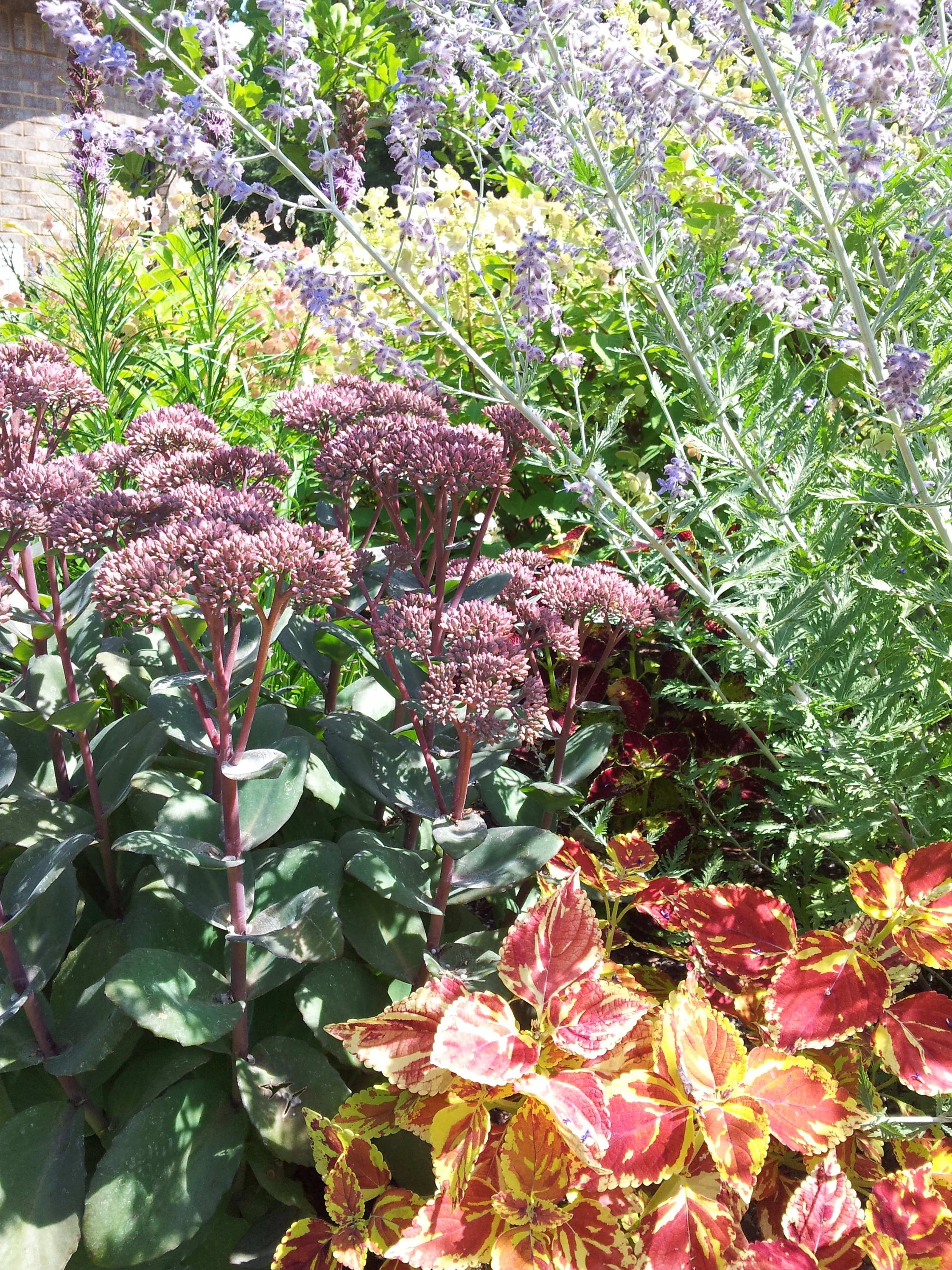 2014-08-13 12.46.22.jpg