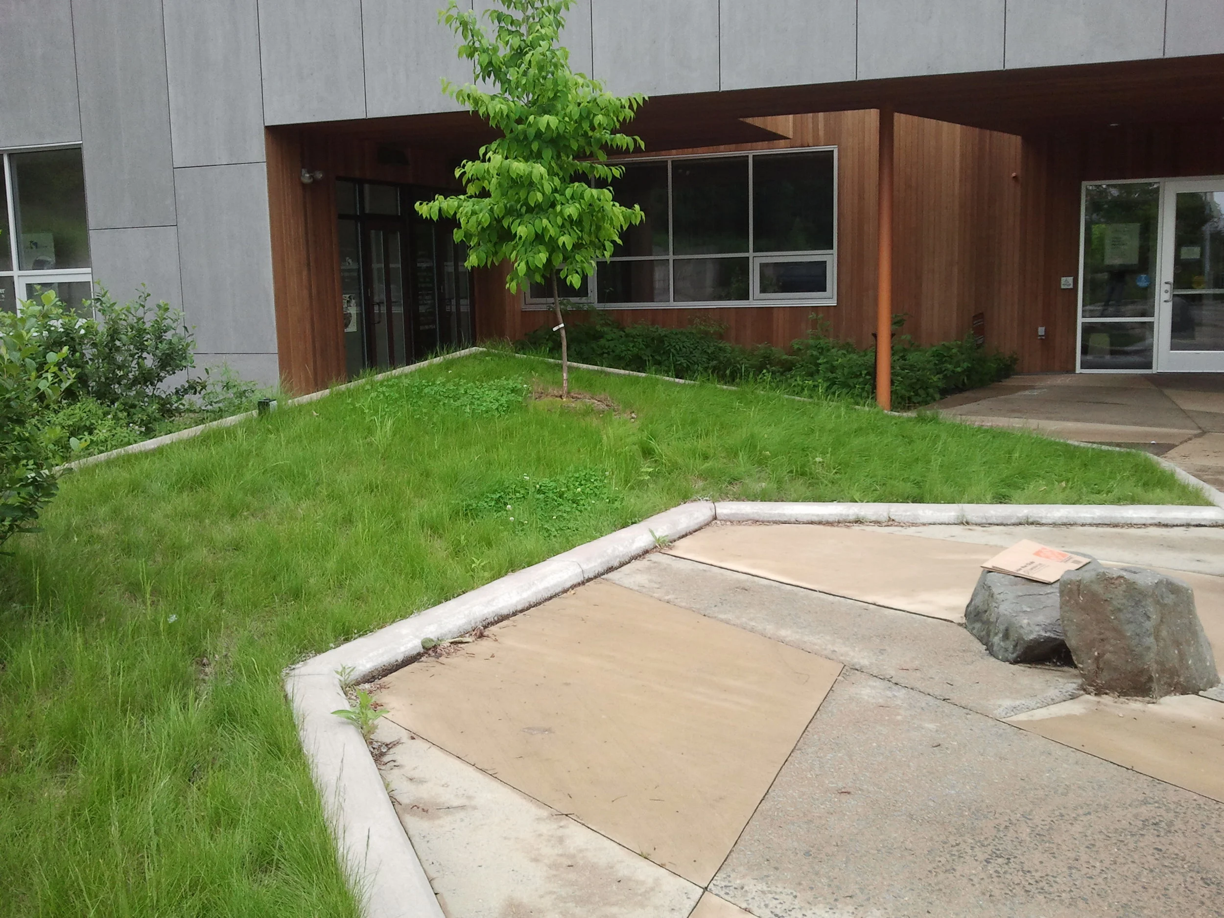 2012-05-26 13.55.07.jpg