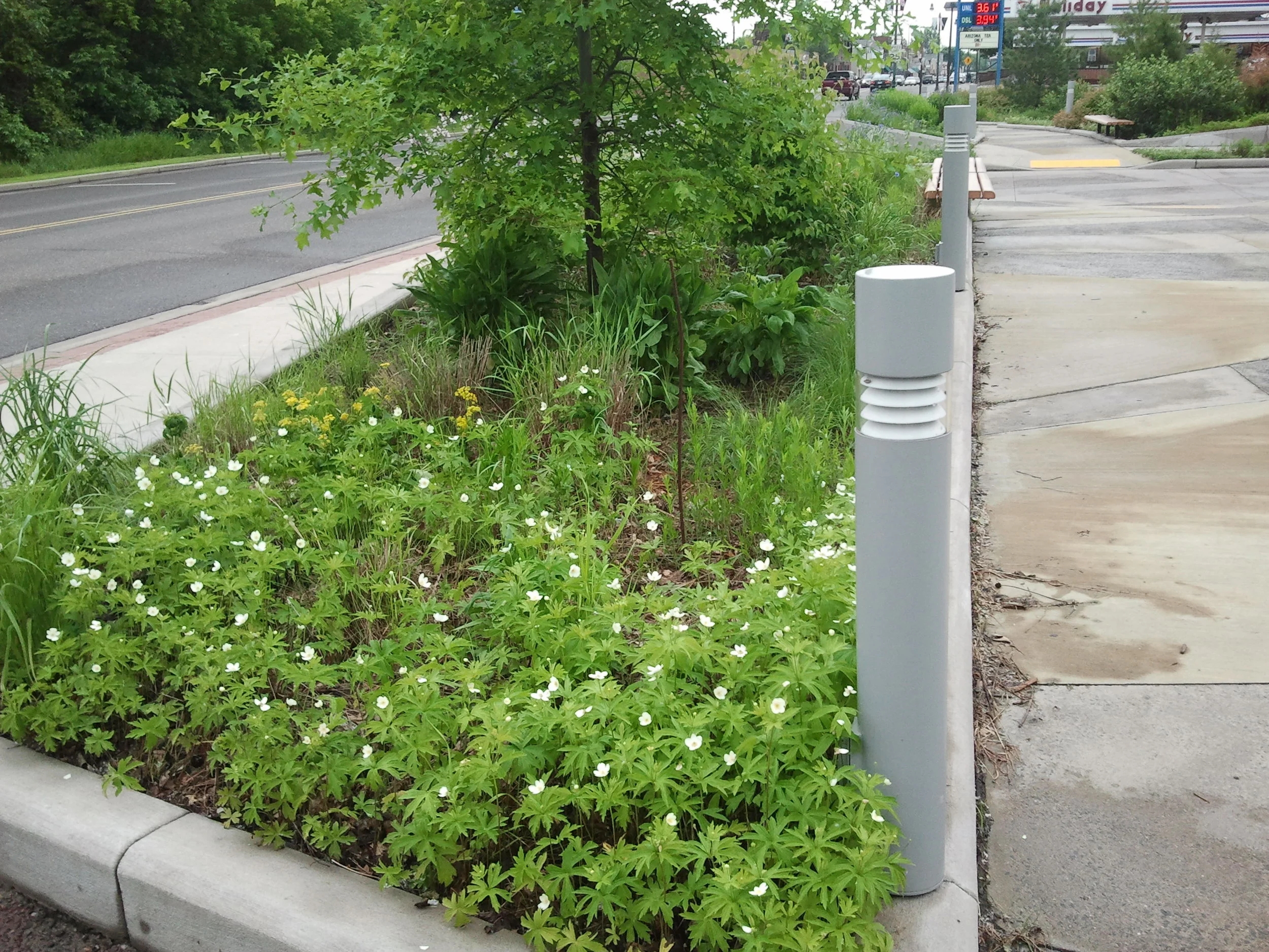 2012-05-26 13.55.31.jpg