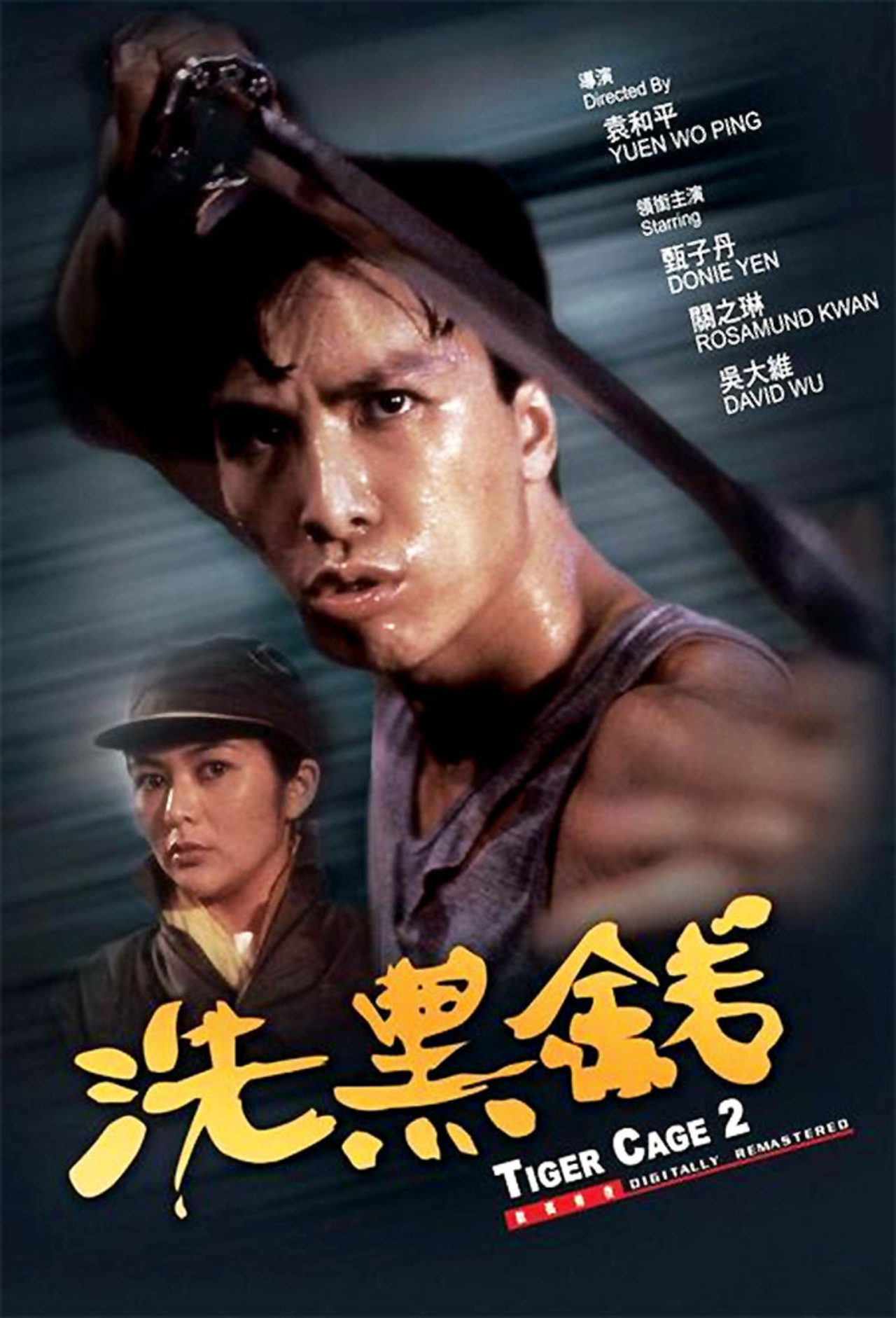 Ученик тигра 2. Клетка тигра 2 Sai hak Chin (1990). Клетка тигра 2 1990 Постер.