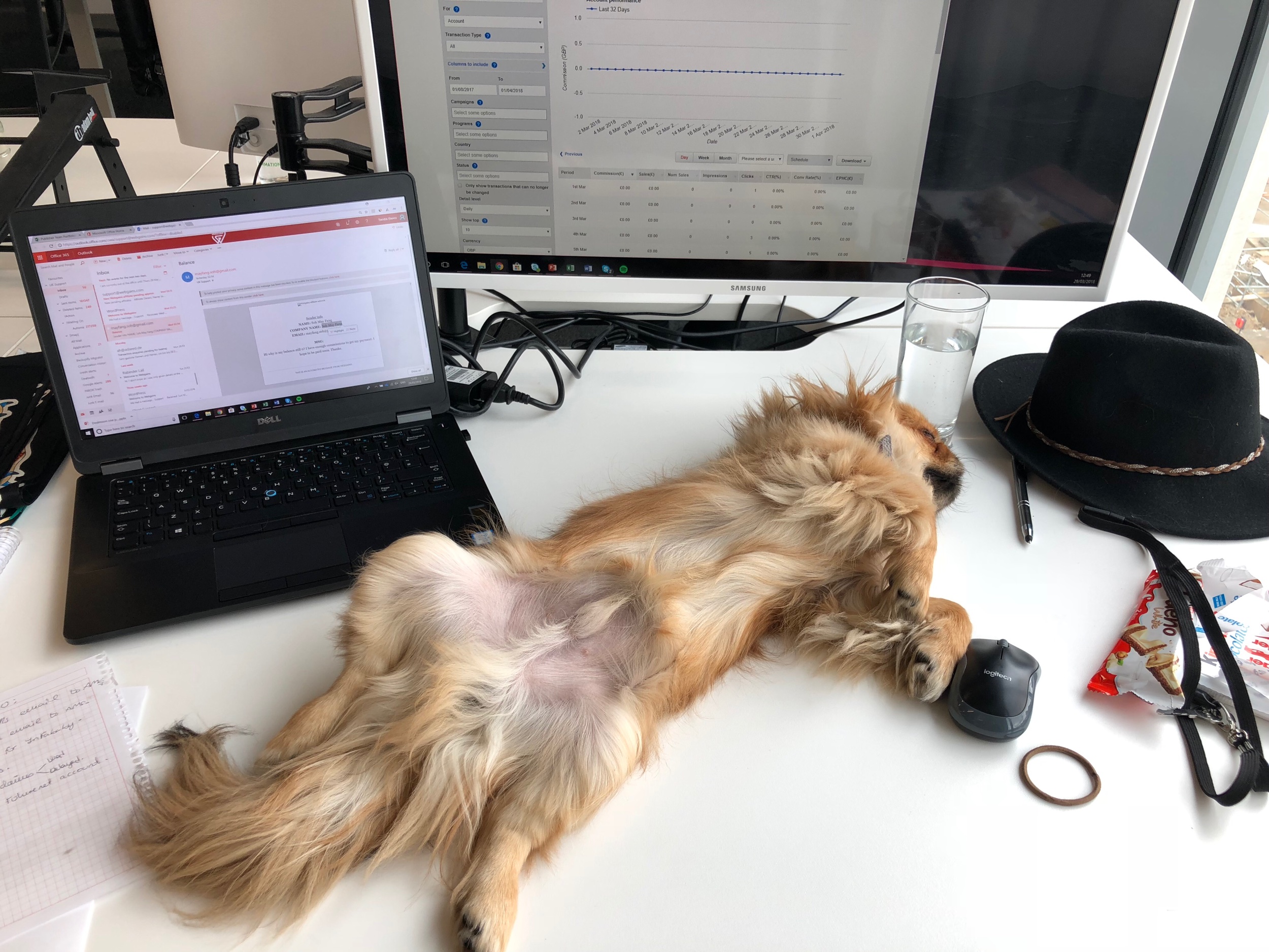 This is how Cooper and I felt everyday at the office that Summer - luckily I could bring him in everyday!