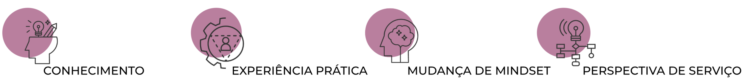 Curso Básico DS.png