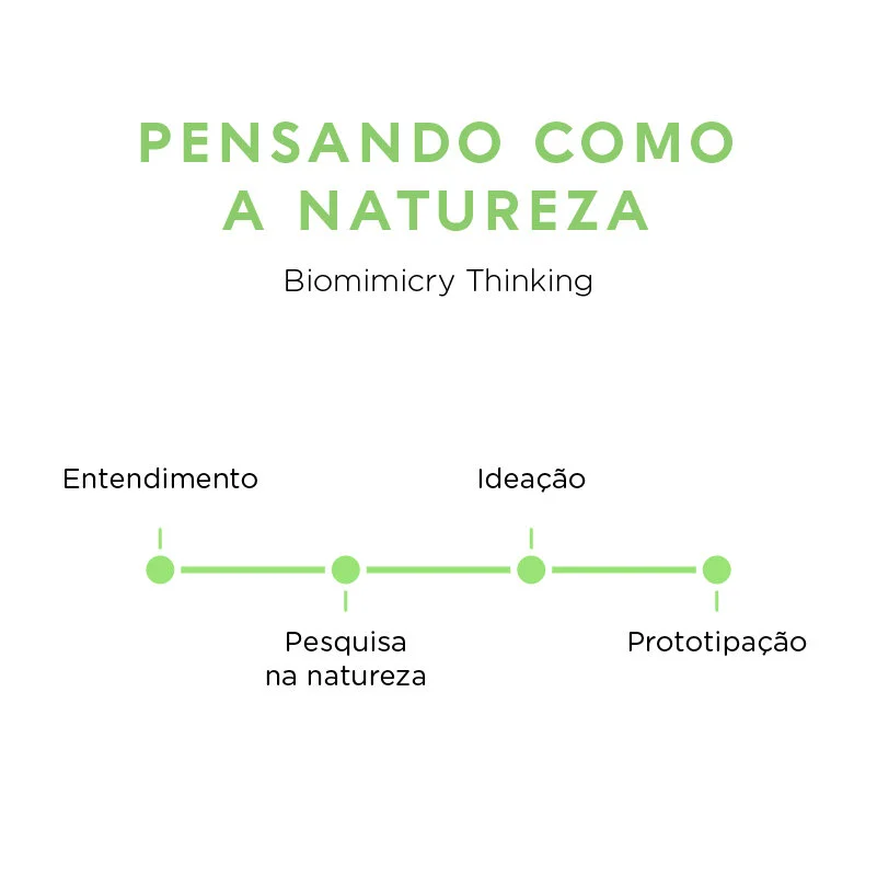 Espaço D Biomimetica pensando como a natureza.jpg