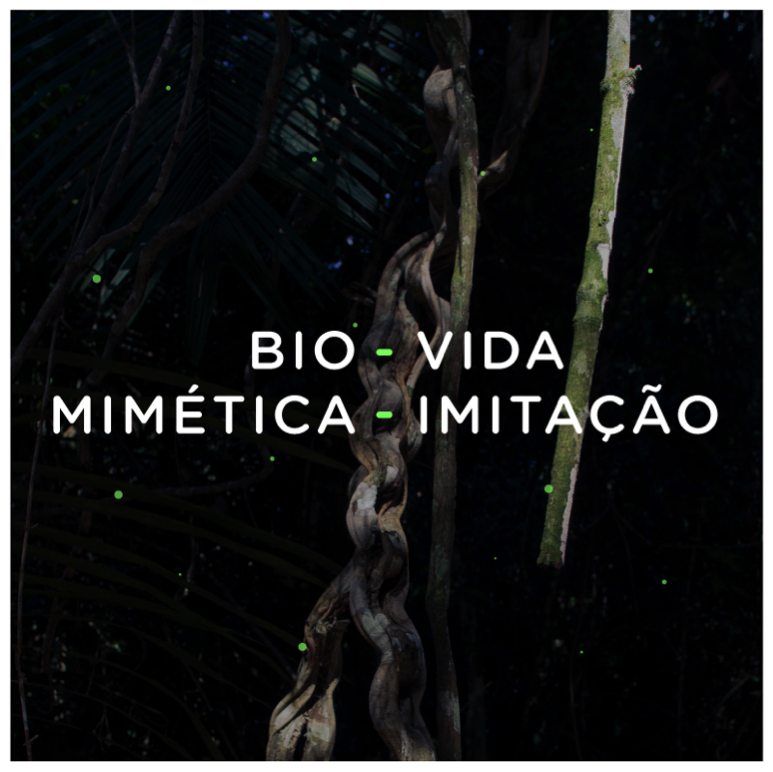 bio mimetica curso postagem 1.png