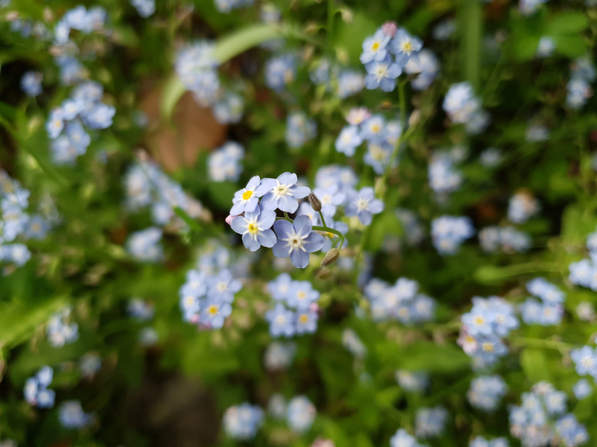 Megszokásból viselkedsz?