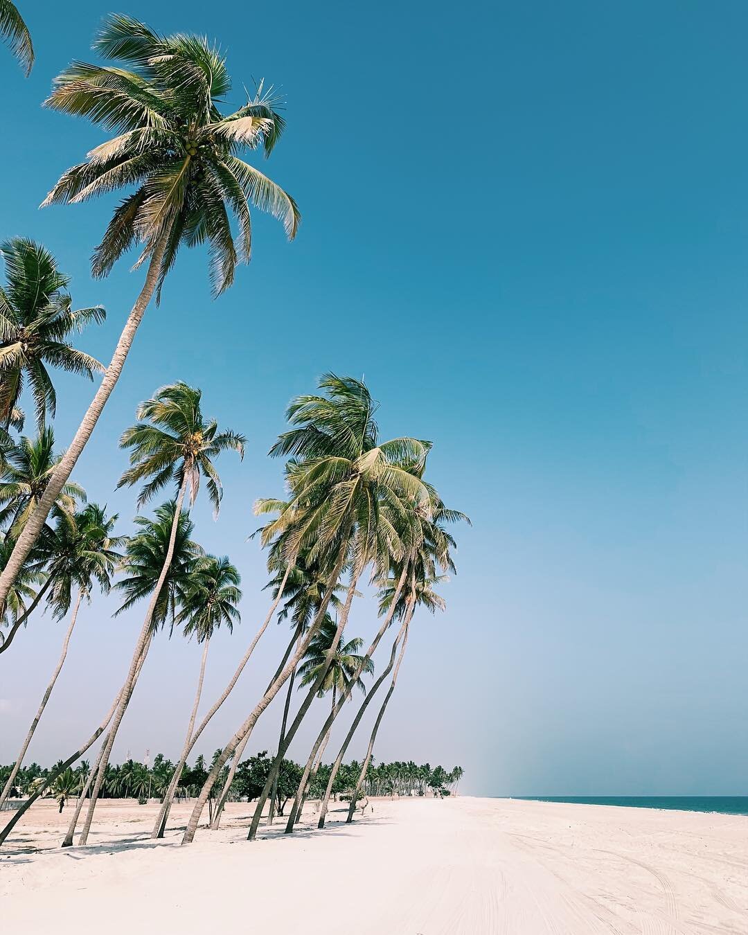 &quot;I switched the time zone, but what do I know? Spendin' nights hitchhikin', where will I go?&quot; 🗺
.
.
#selfcare mode #Beach #BeachLife #Salalah #Oman
#LoFi #Goods from #LowDown #Travel #Adventures #RAHWorldTour #EveryDayImTraveling #Shifting