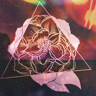  Artificial Flower , 2017 - iTUNES