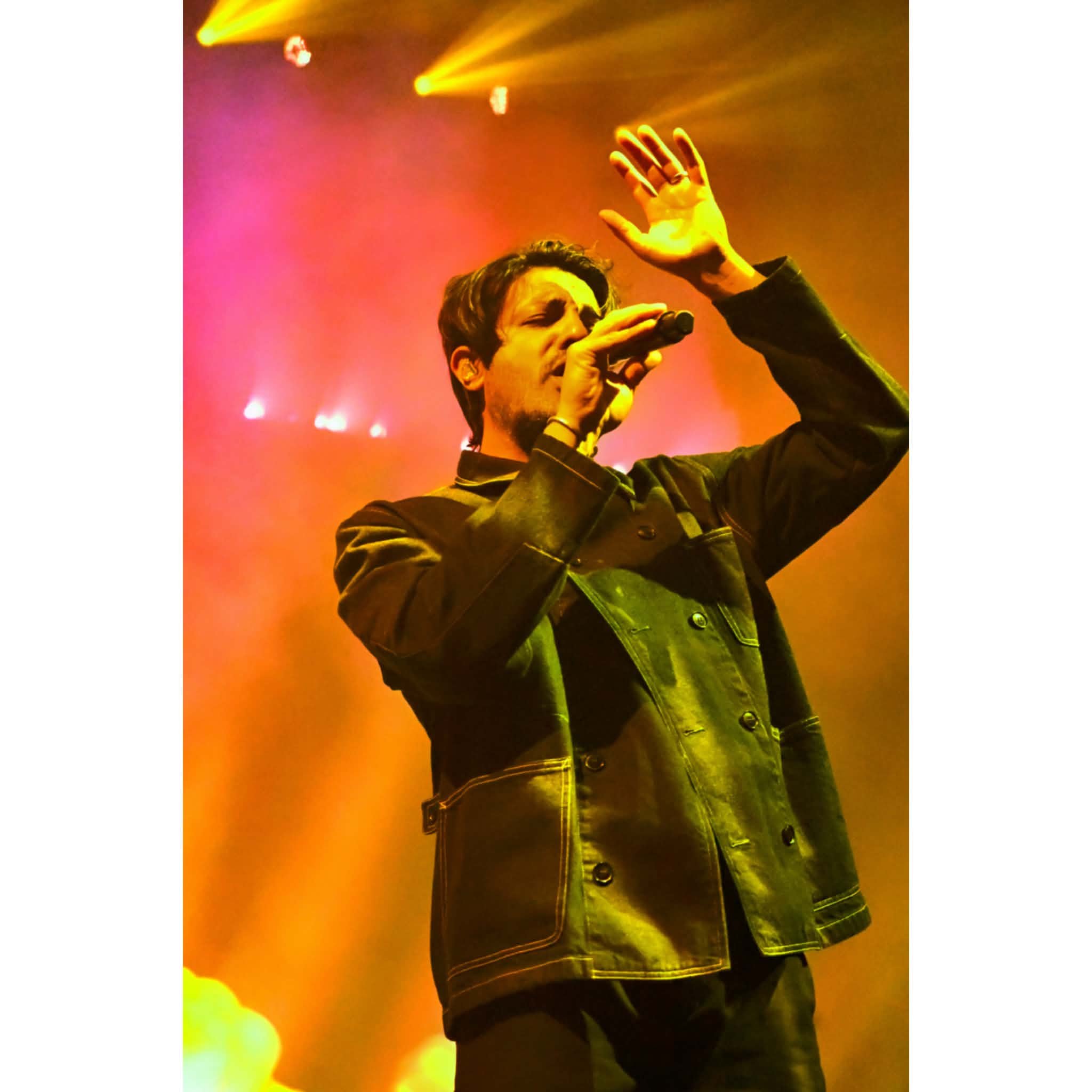 Young the Giant - Victory Garden Tour 